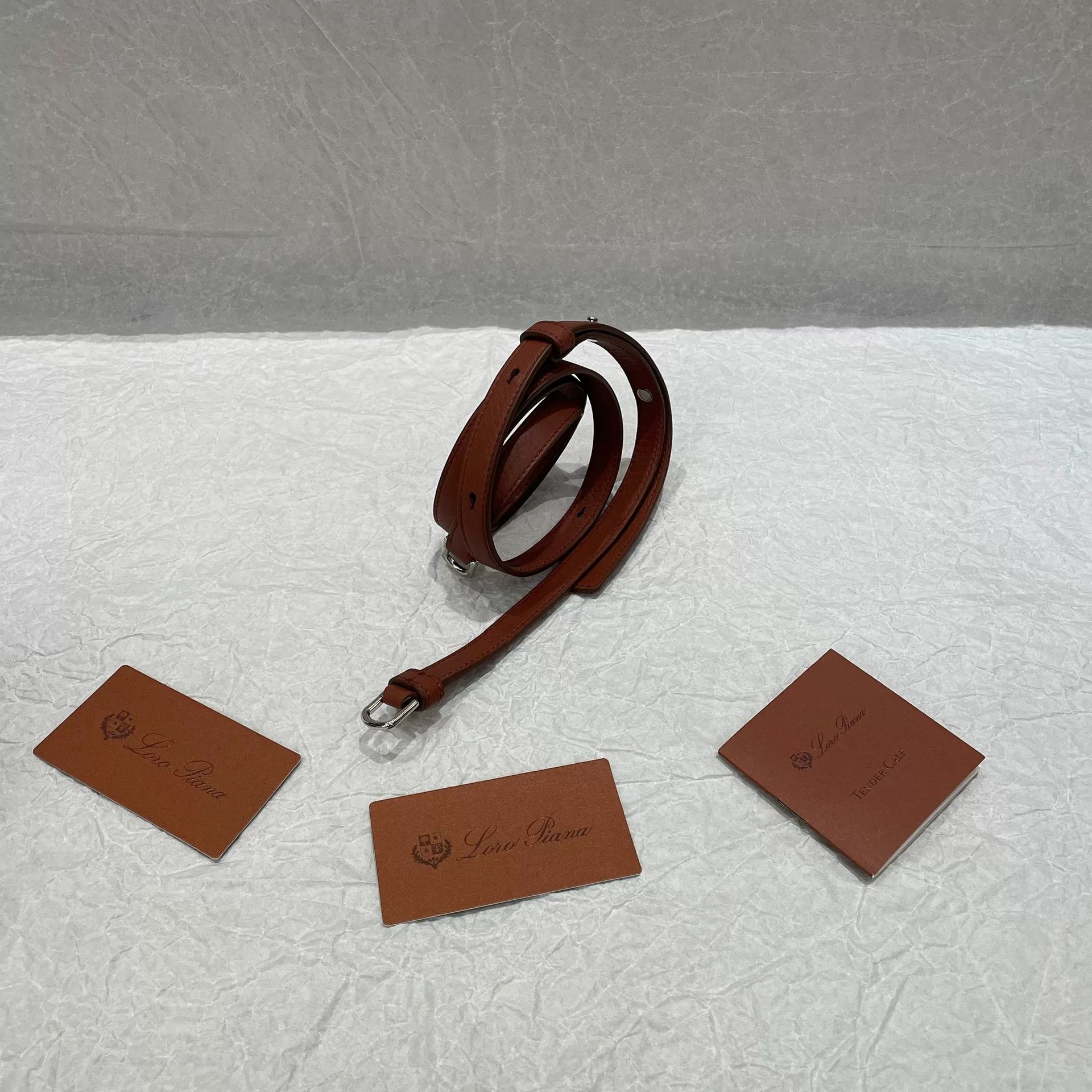 Loro Piana Pre-loved Bag Brand new condition Size ONE SIZE - 8 Thumbnail