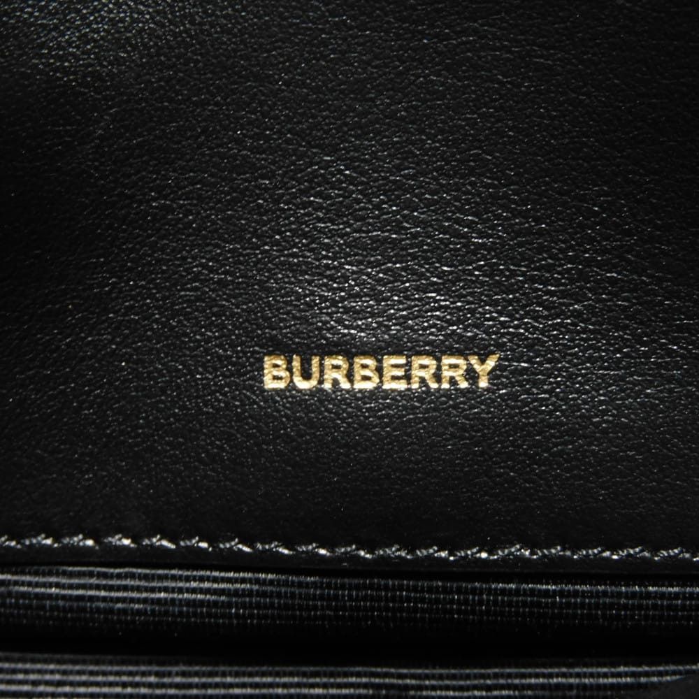 Burberry Burberry Burberry TB Monogram E Canvas Camera Bag Plastic / Synthetic Shoulder Bag 8032774 DUTY FREE for USA Size ONE SIZE - 8 Thumbnail