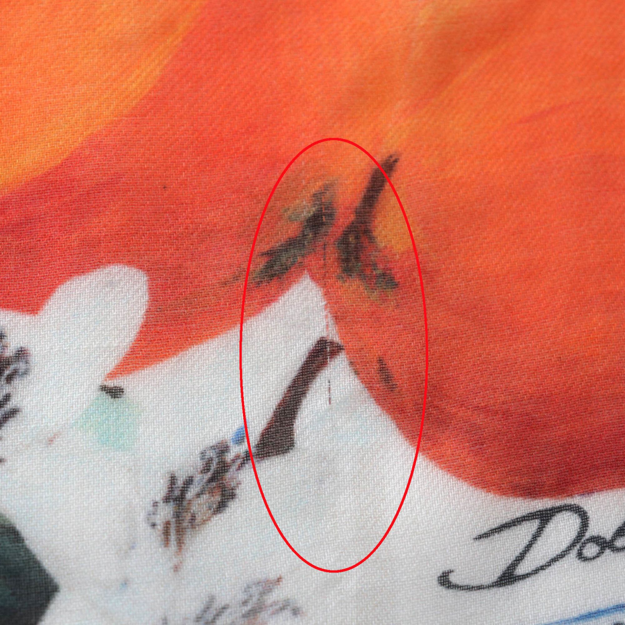 Dolce & Gabbana DOLCE & GABBANA Women's Cashmere Blend Shawl with Fringe and Logo, Flower Fruit Design, Multicolor, Made in Italy Size ONE SIZE - 12 Thumbnail