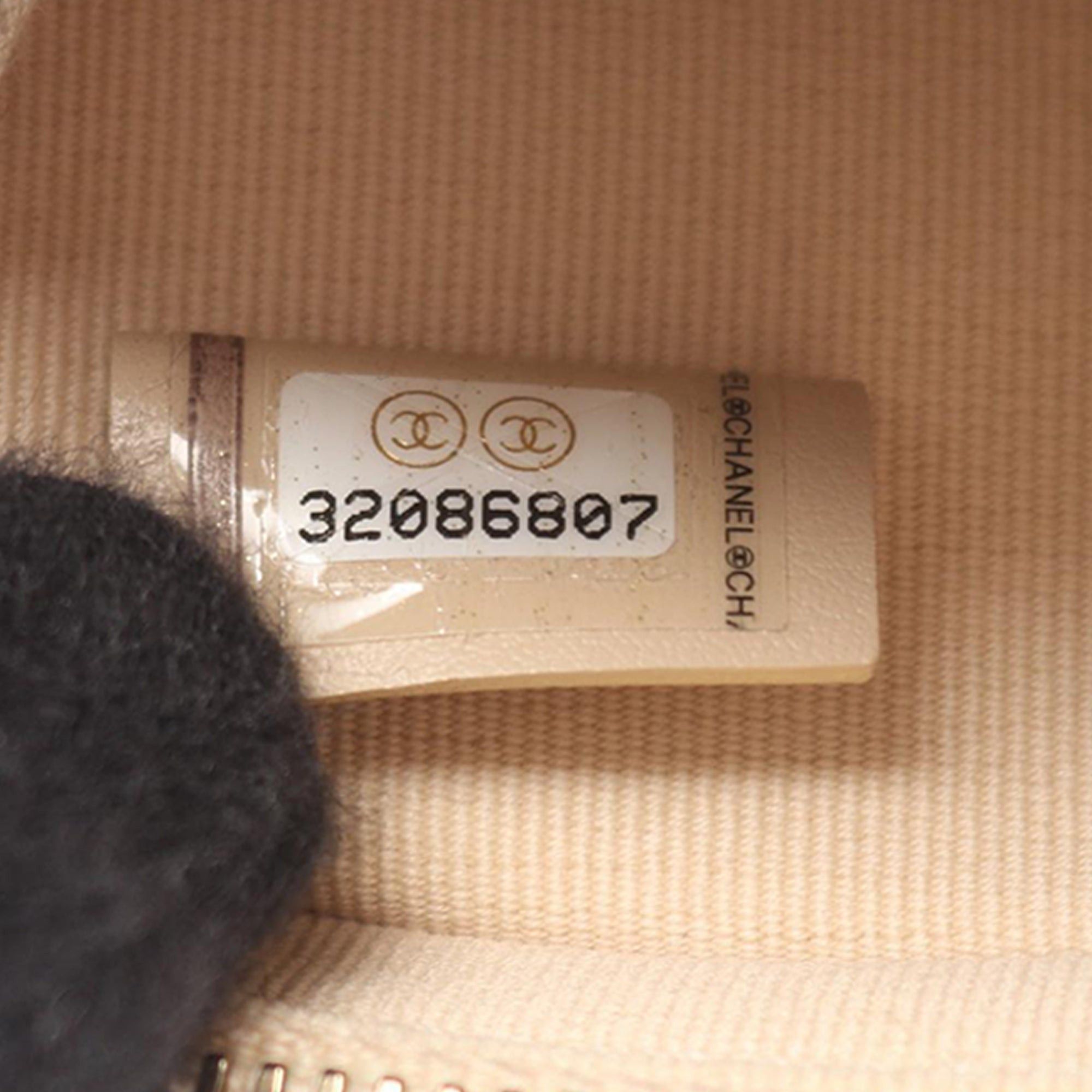 Chanel Lambskin 19 Camera Bag Size ONE SIZE - 6 Thumbnail
