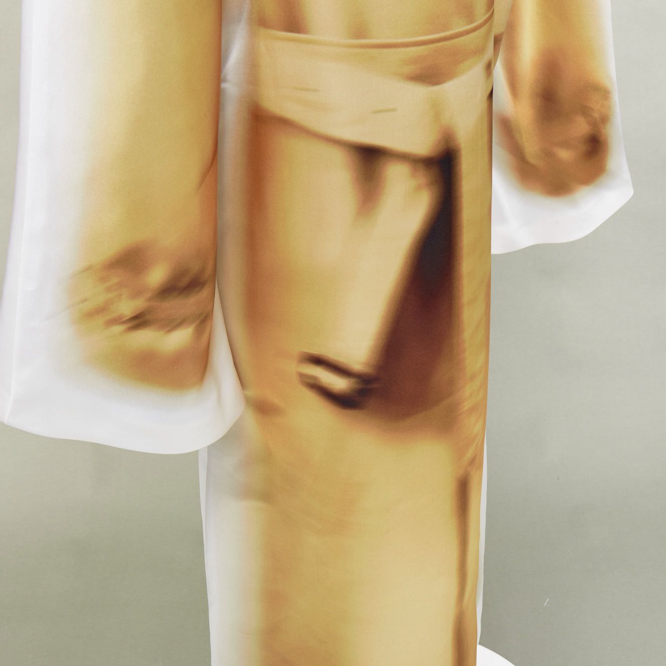 Loewe rare LOEWE JW ANDERSON 2023 Runway Trompe Loeil Blurry Trench Coat print voluminous sleeves dress Size M / US 6-8 / IT 42-44 - 9 Thumbnail