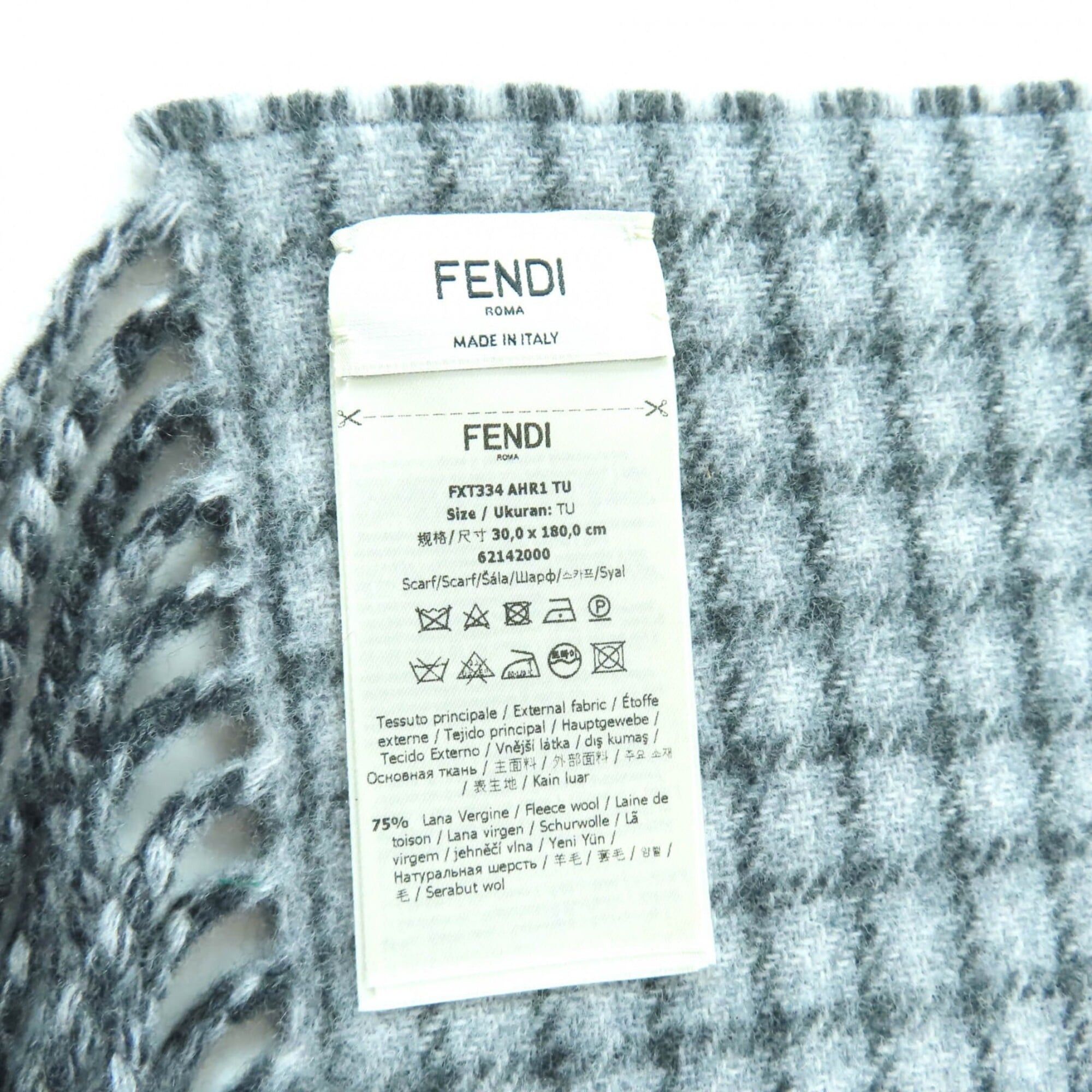 Fendi FENDI FXT334 Wool Cashmere Blend Logo Design Check Pattern Fringe Scarf Charcoal Gray TU Comes with Dust Bag Made in Italy Authentic Women's Size ONE SIZE - 7 Thumbnail