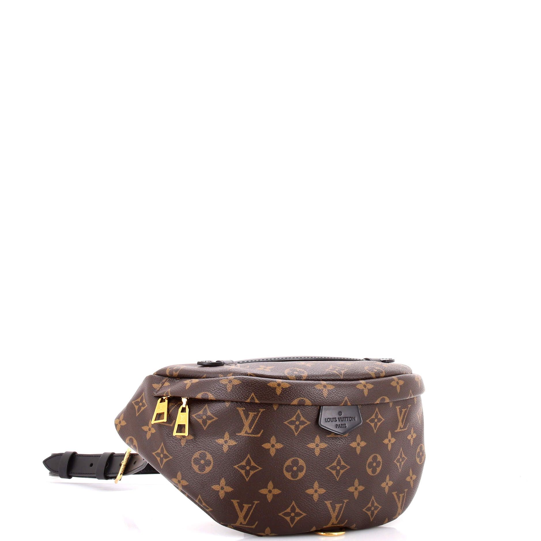 Louis Vuitton Bum Bag Size ONE SIZE - 2 Thumbnail