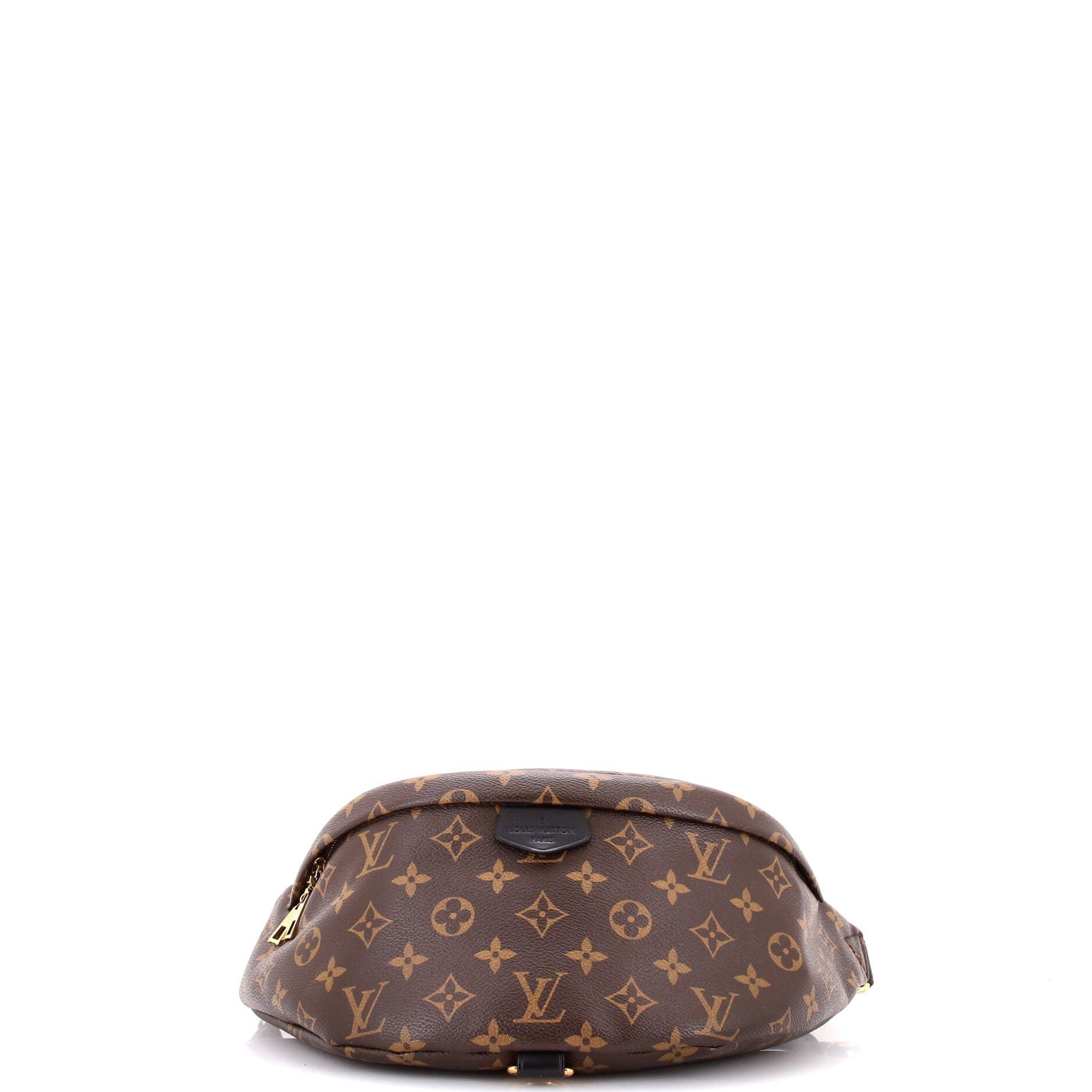 Louis Vuitton Bum Bag Size ONE SIZE - 4 Thumbnail