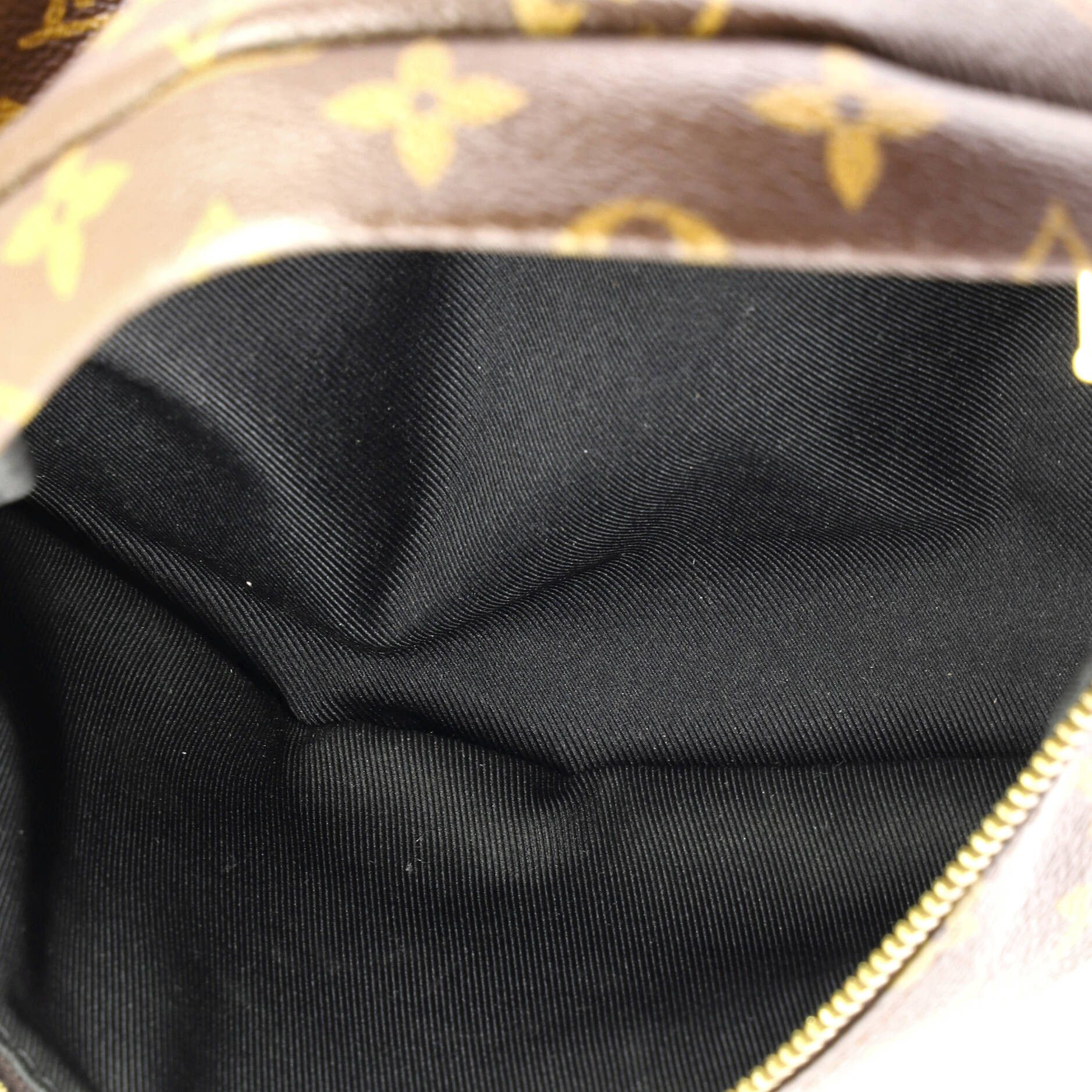 Louis Vuitton Bum Bag Size ONE SIZE - 5 Thumbnail