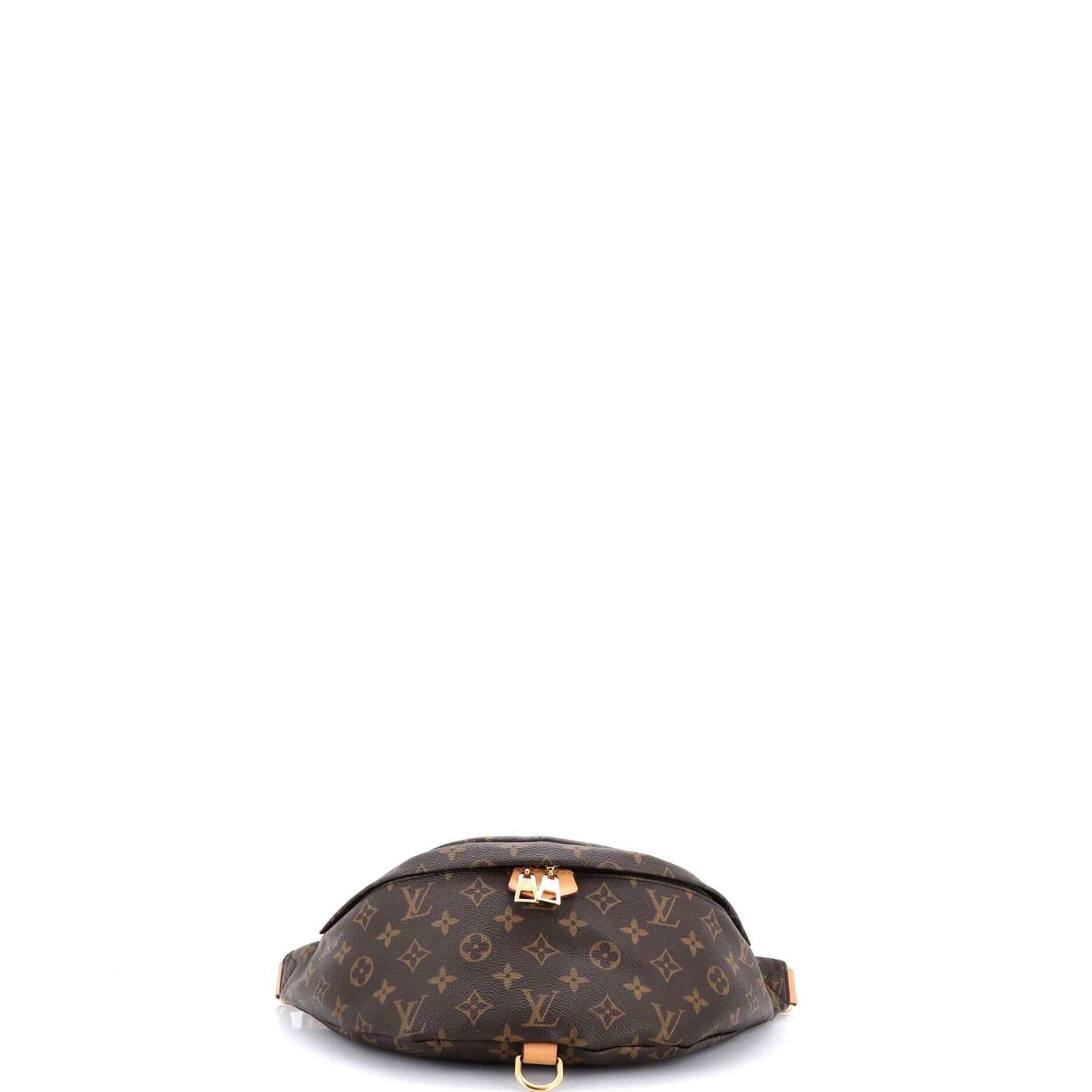 Louis Vuitton Bum Bag Size ONE SIZE - 4 Thumbnail