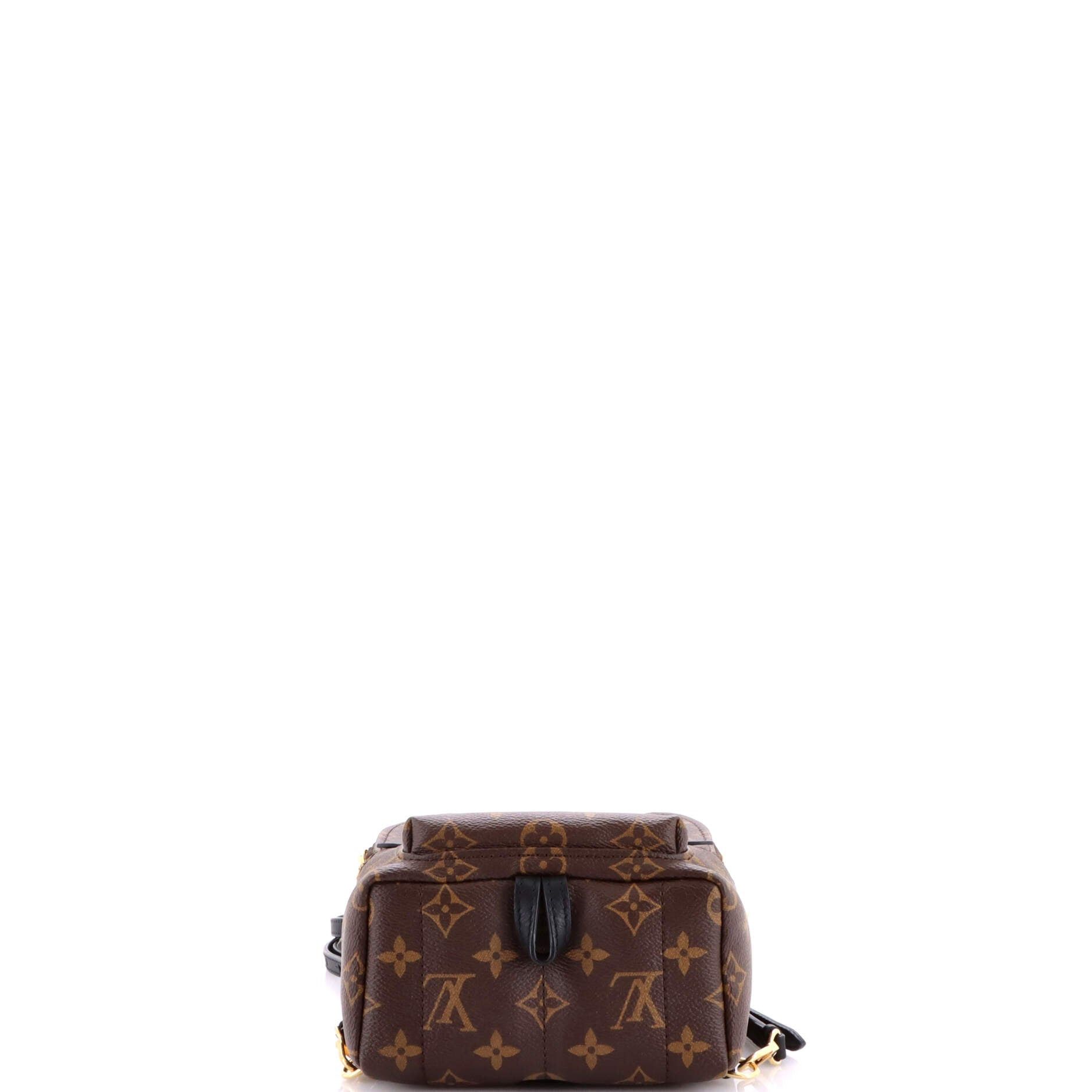Louis Vuitton Palm Springs Backpack Size ONE SIZE - 4 Thumbnail