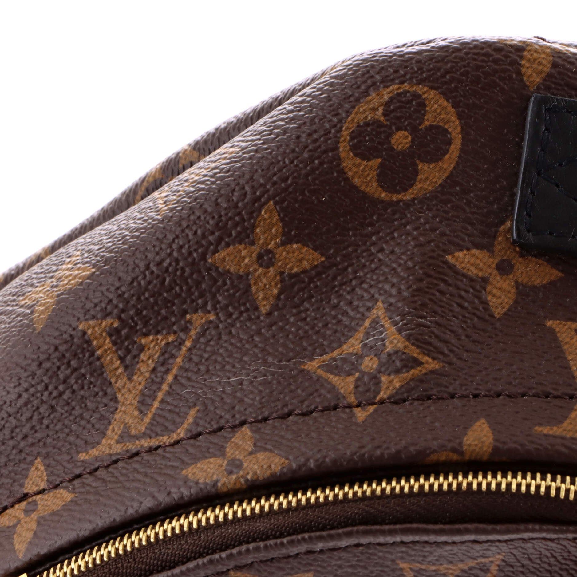 Louis Vuitton Palm Springs Backpack Size ONE SIZE - 6 Thumbnail