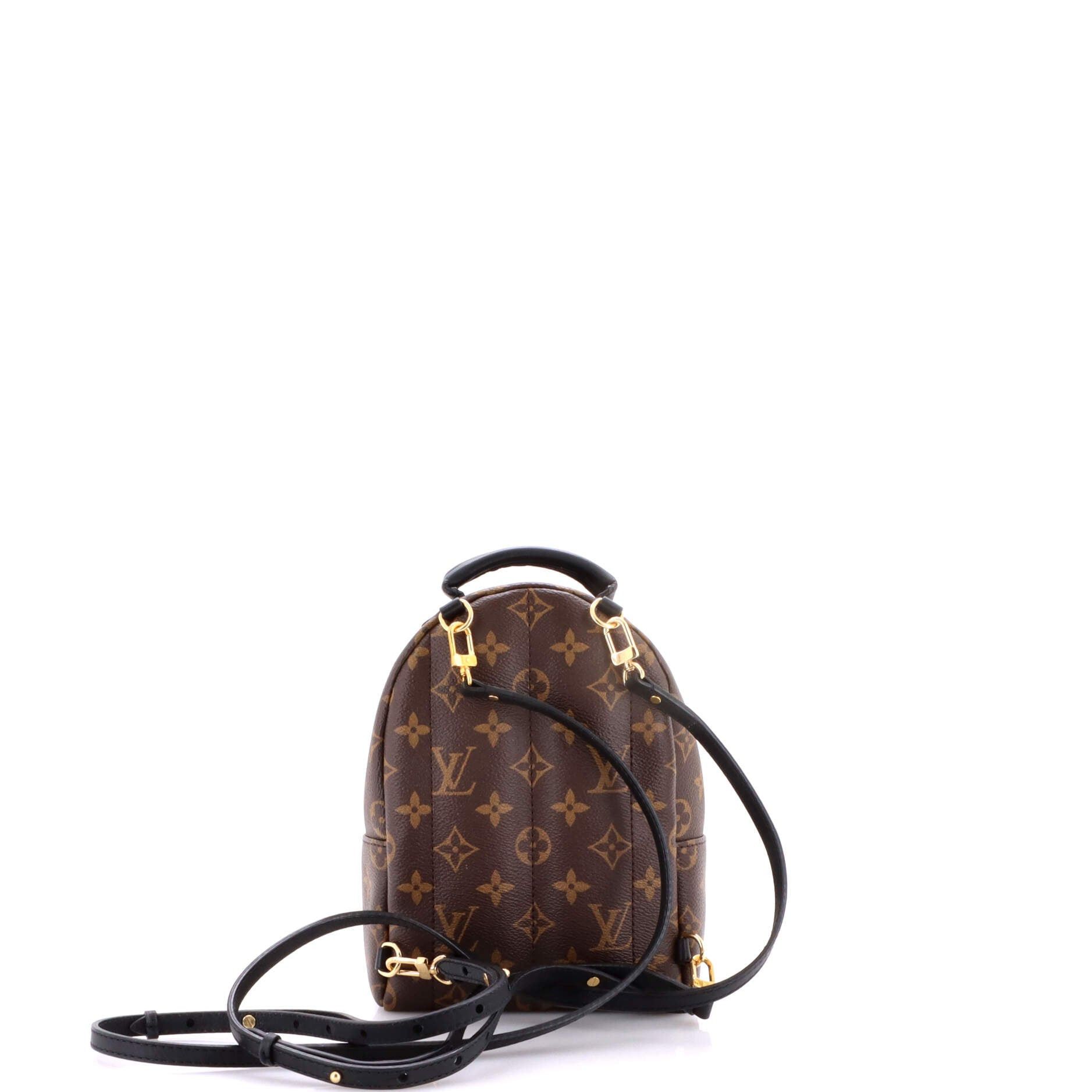 Louis Vuitton Palm Springs Backpack Size ONE SIZE - 3 Thumbnail