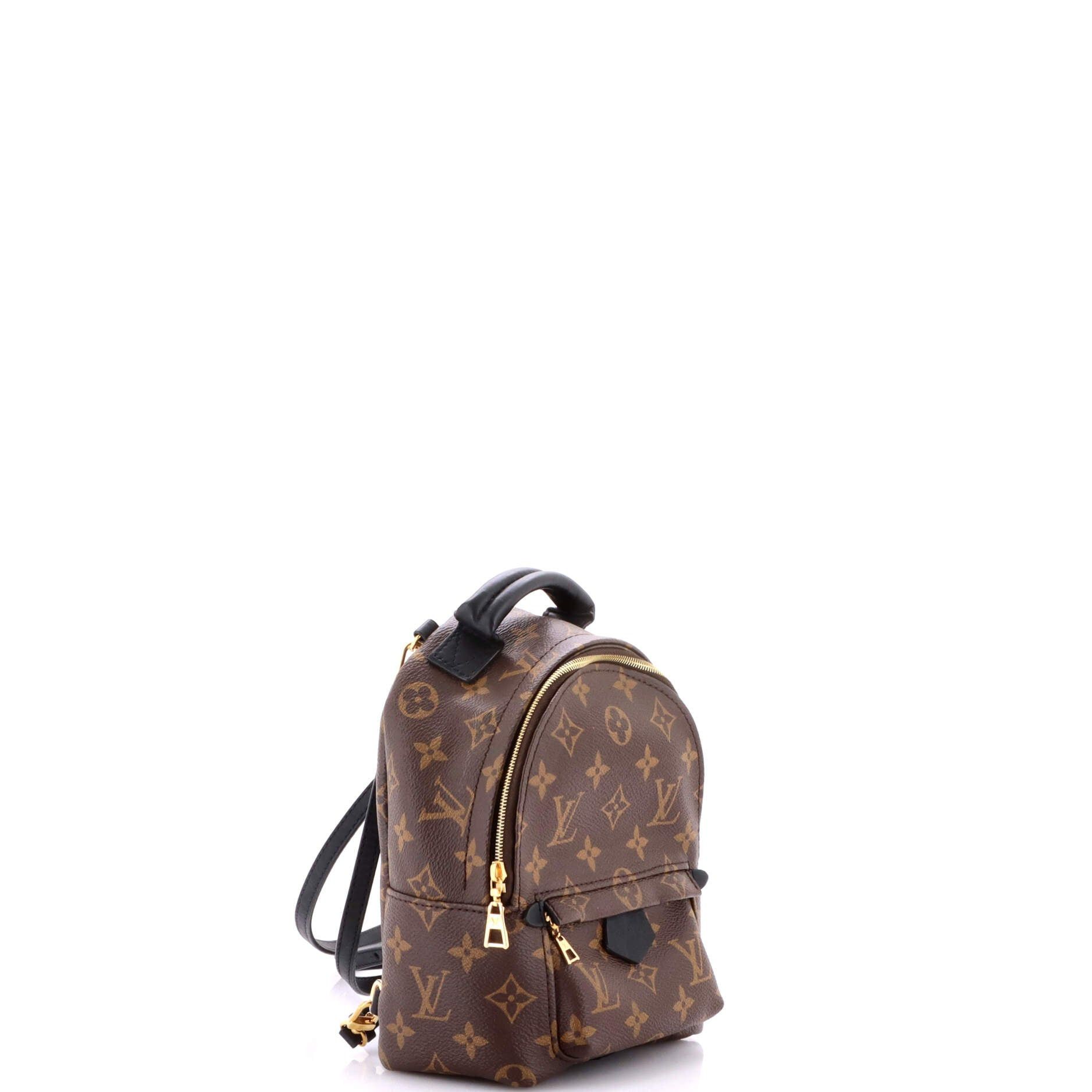 Louis Vuitton Palm Springs Backpack Size ONE SIZE - 2 Thumbnail