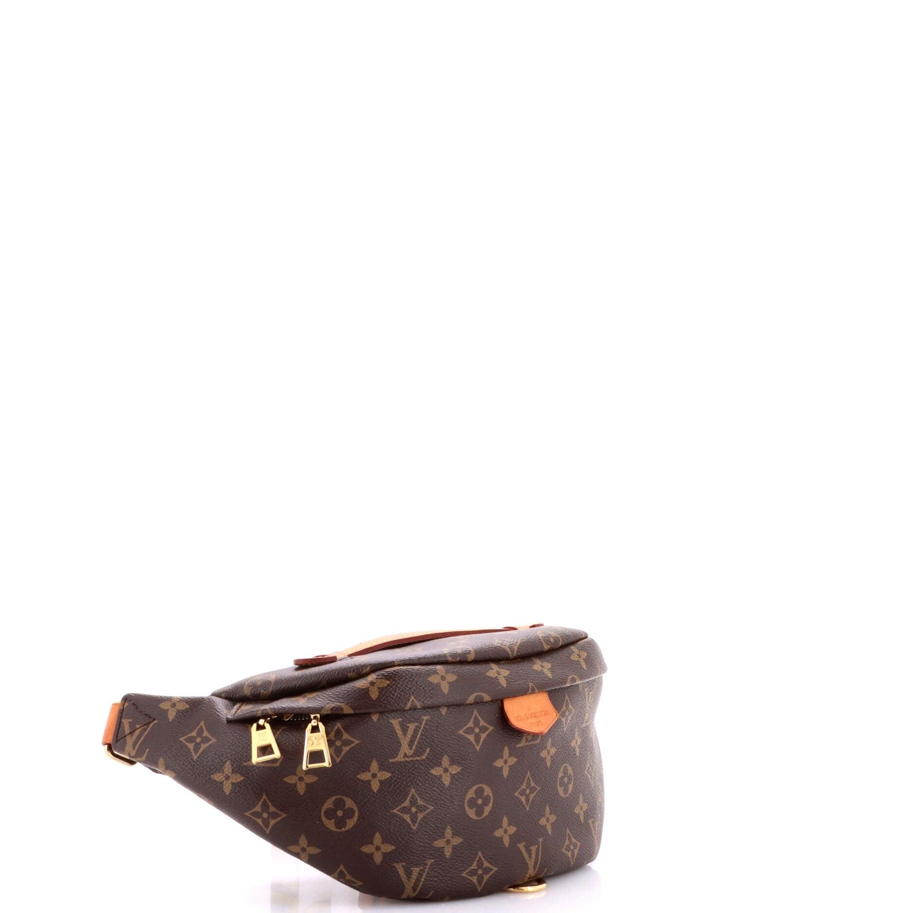 Louis Vuitton Bum Bag Size ONE SIZE - 2 Thumbnail