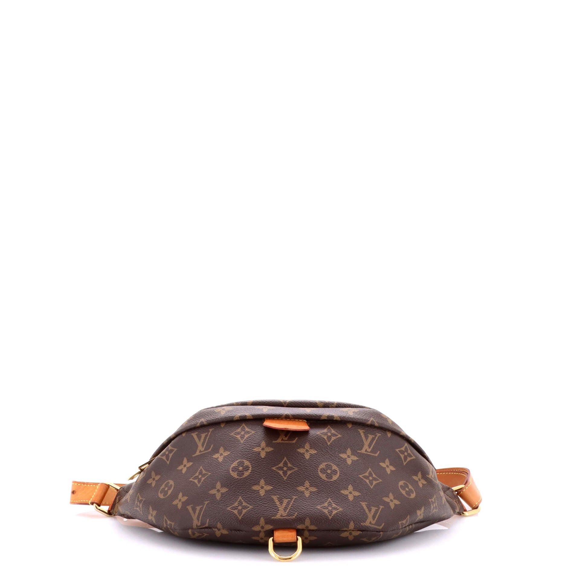 Louis Vuitton Bum Bag Size ONE SIZE - 4 Thumbnail