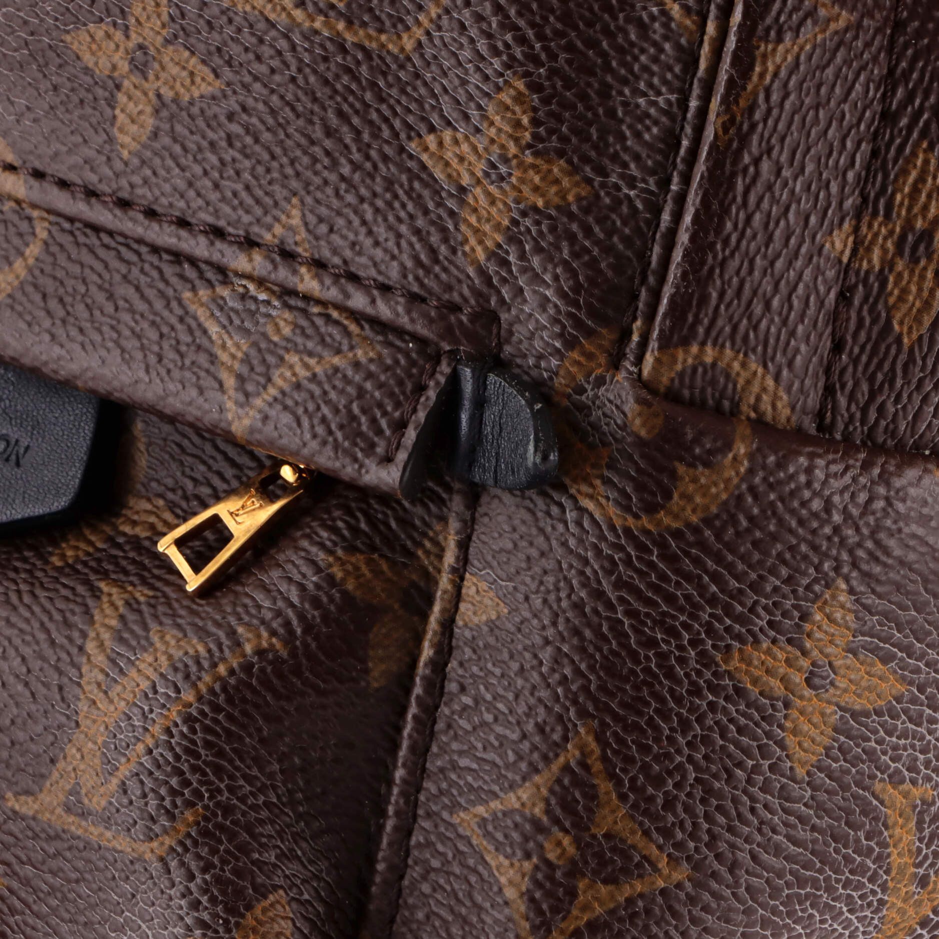 Louis Vuitton Palm Springs Backpack Size ONE SIZE - 7 Thumbnail