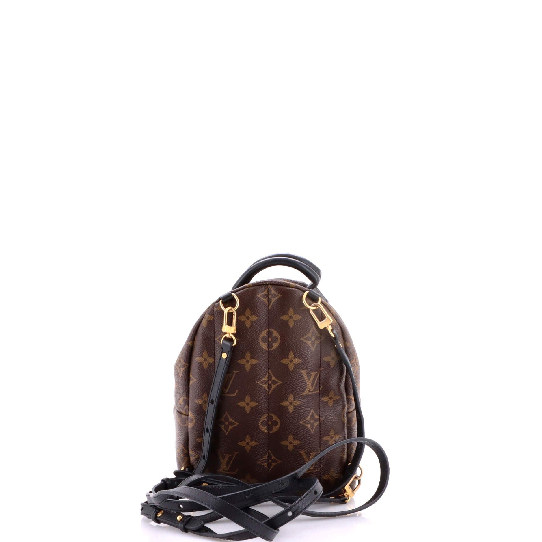 Louis Vuitton Palm Springs Backpack Size ONE SIZE - 3 Thumbnail