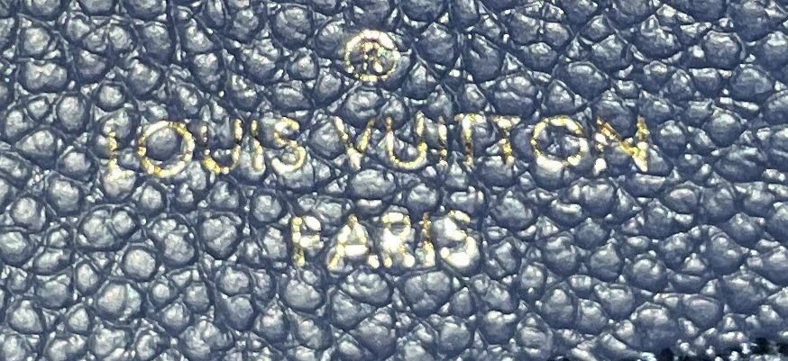 Louis Vuitton Diane NM Handbag Size ONE SIZE - 9 Thumbnail