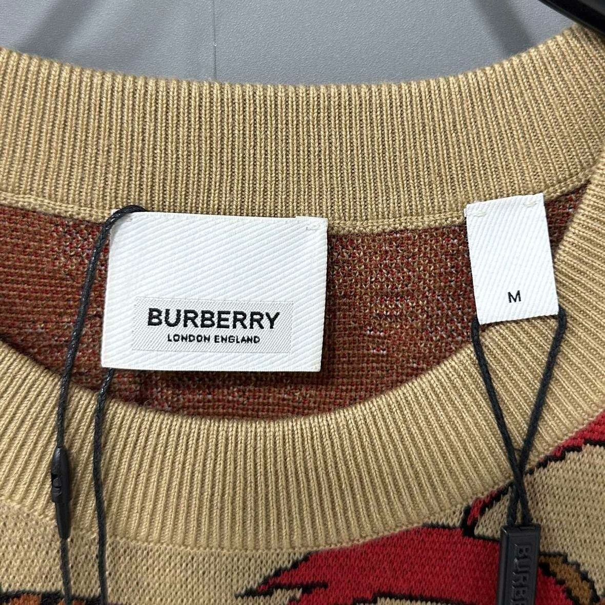 Burberry Burberry Tiger Beige Sweater m Men Size US M / EU 48-50 / 2 - 5 Thumbnail