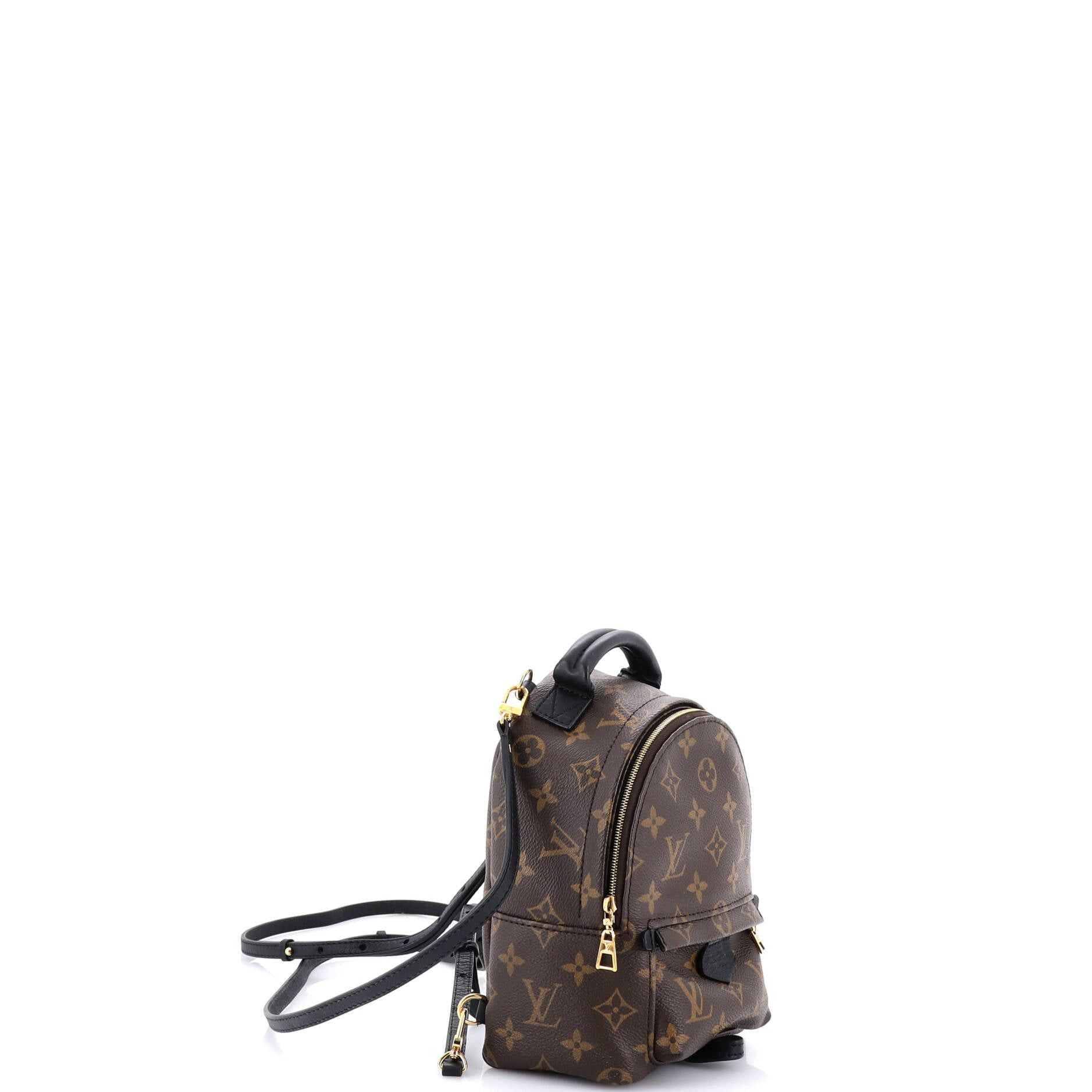 Louis Vuitton Palm Springs Backpack Size ONE SIZE - 2 Thumbnail