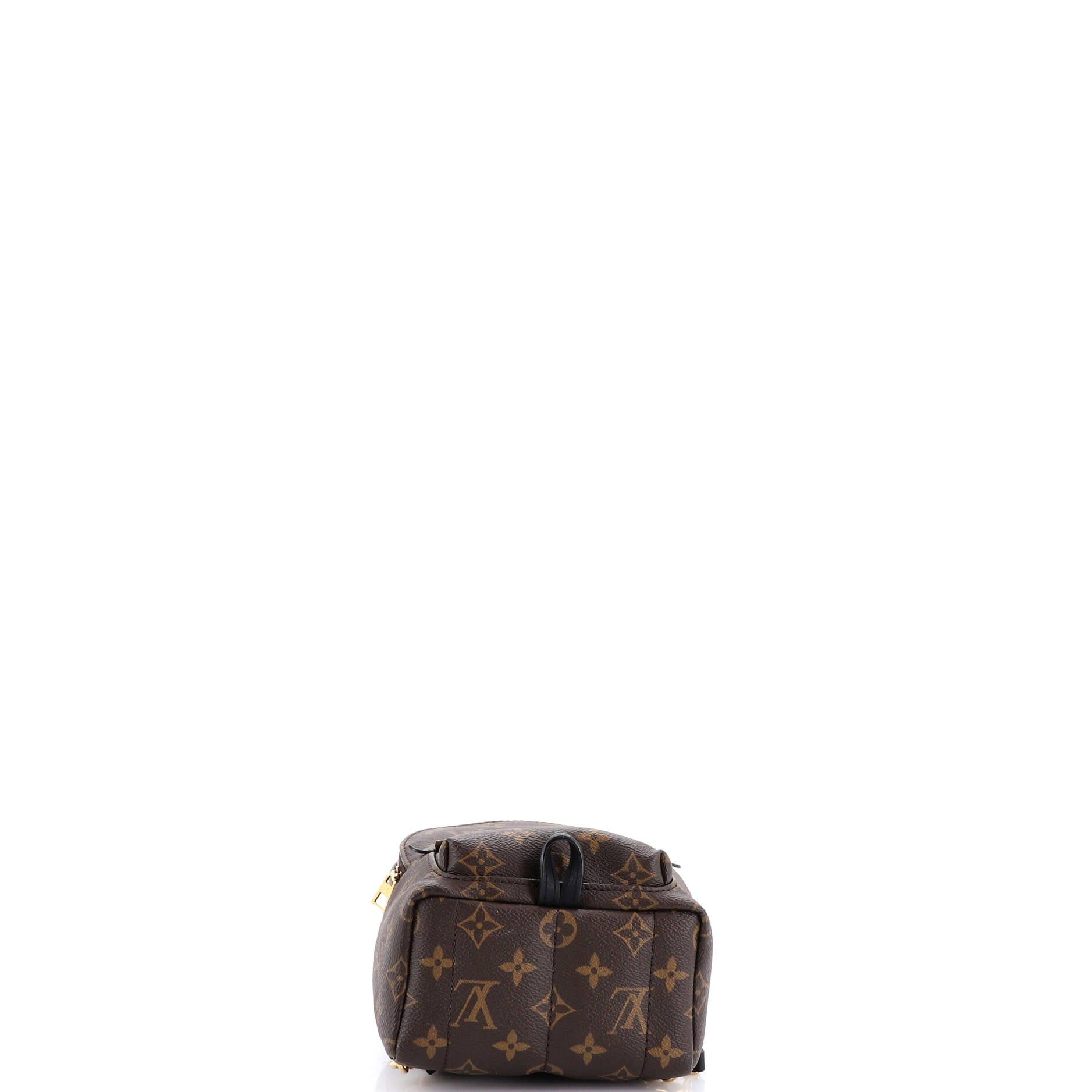 Louis Vuitton Palm Springs Backpack Size ONE SIZE - 4 Thumbnail