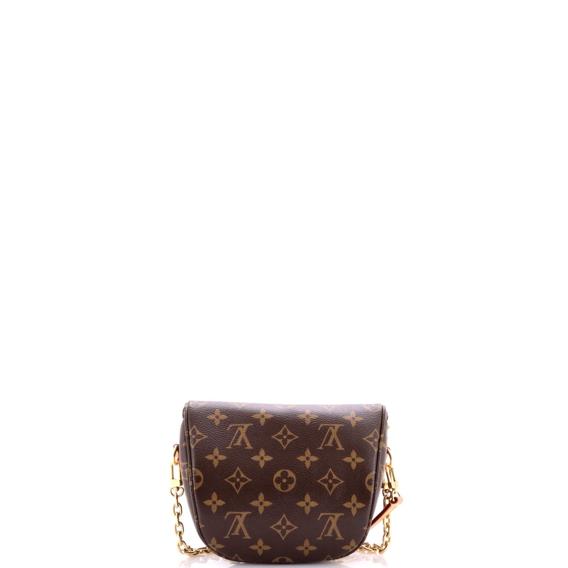Louis Vuitton Bum Bag Size ONE SIZE - 3 Thumbnail
