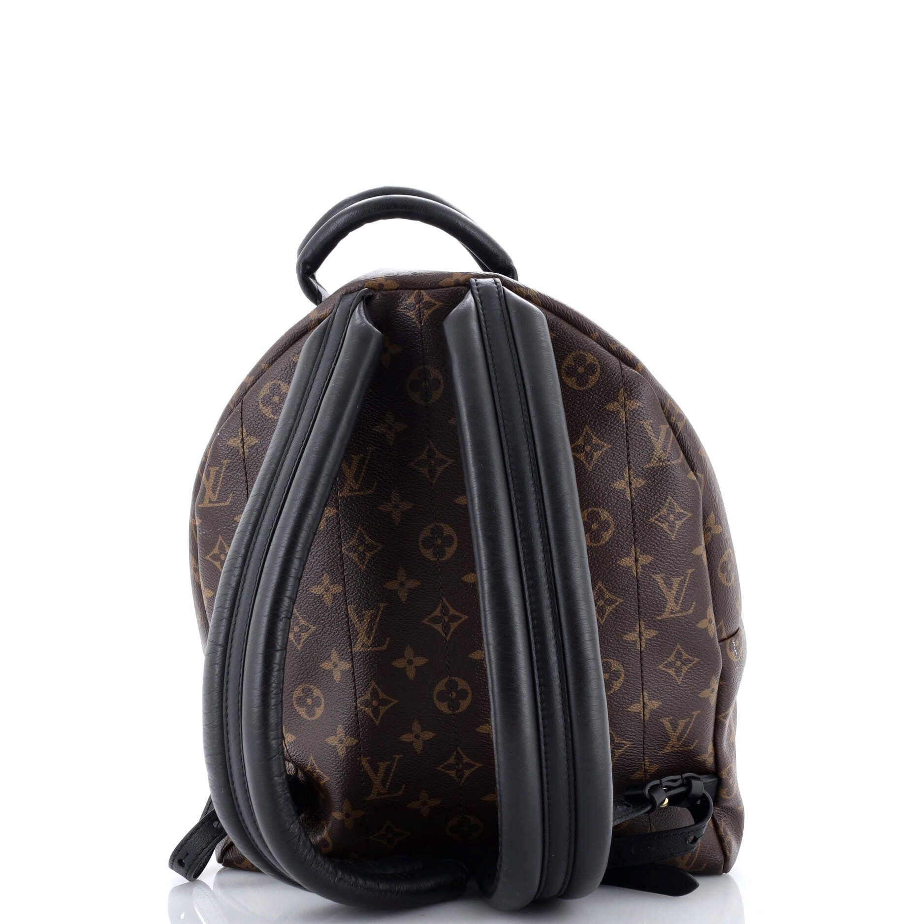 Louis Vuitton Palm Springs Backpack Size ONE SIZE - 3 Thumbnail