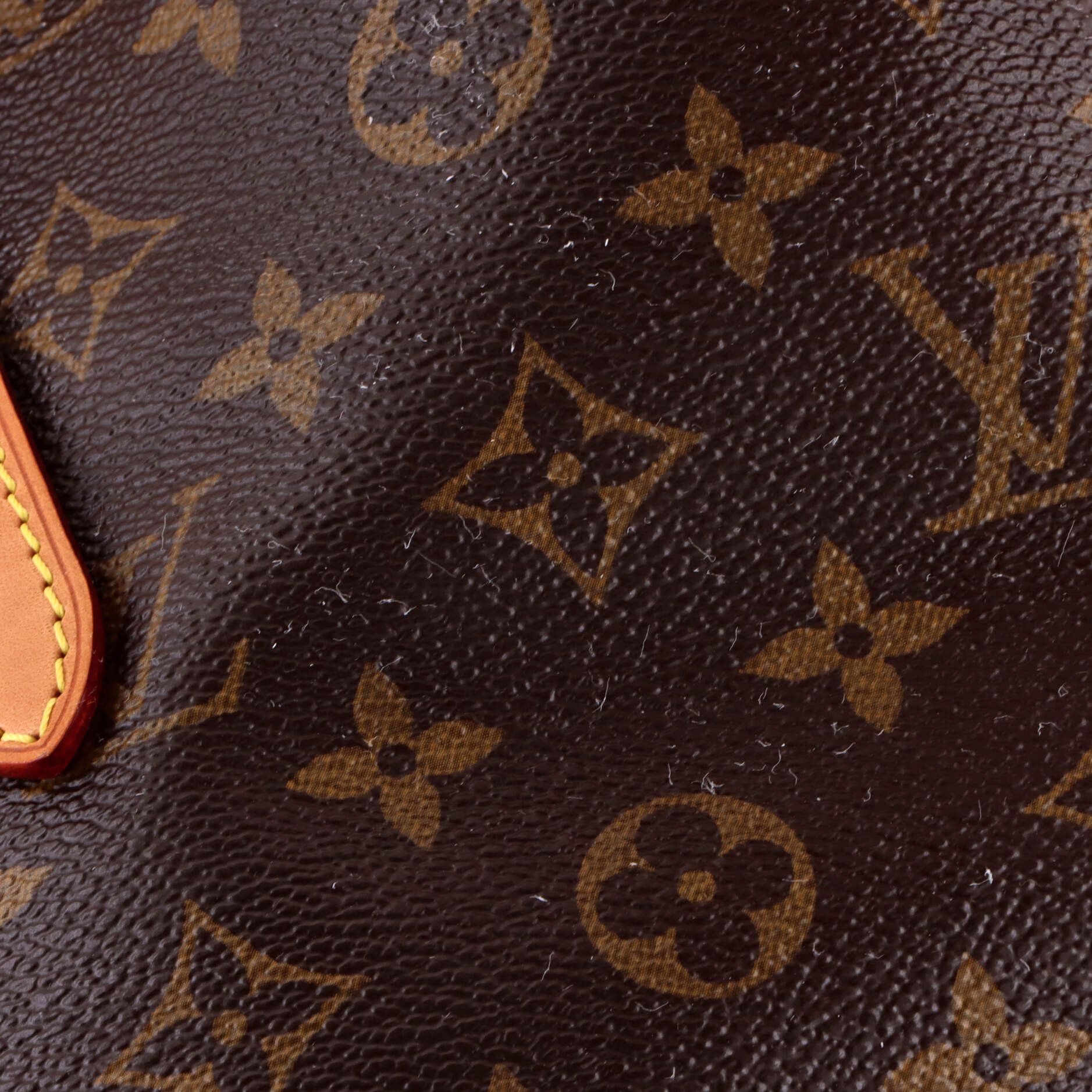 Louis Vuitton Raspail Tote Size ONE SIZE - 7 Thumbnail