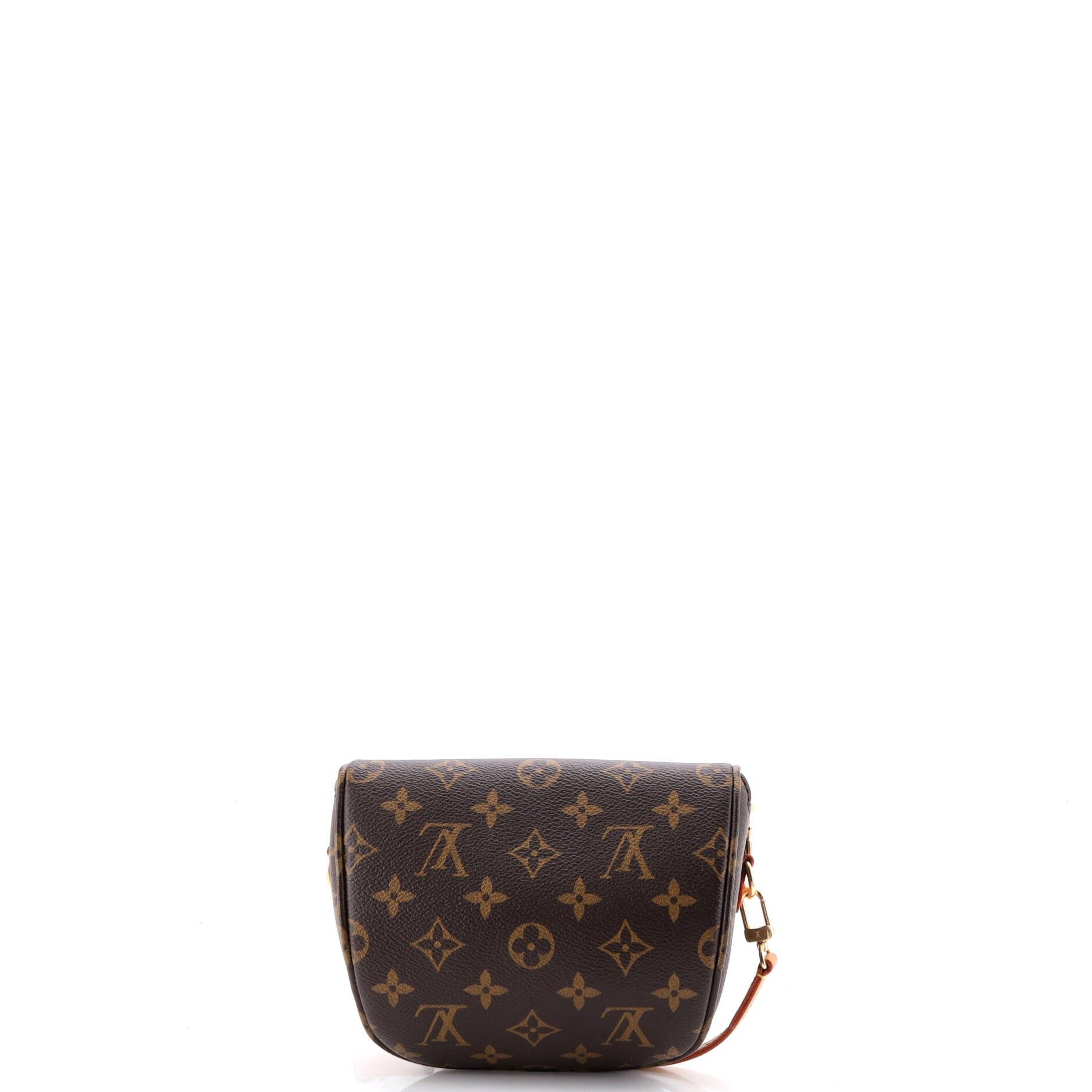 Louis Vuitton Bum Bag Size ONE SIZE - 3 Thumbnail