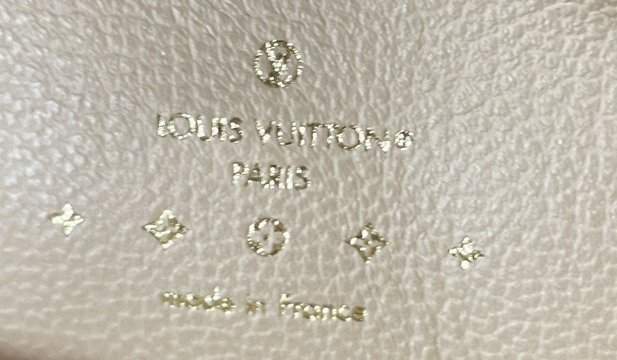 Louis Vuitton Coussin Bag Size ONE SIZE - 9 Thumbnail