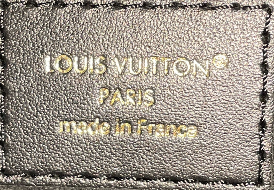 Louis Vuitton Cookie Handbag Size ONE SIZE - 7 Thumbnail