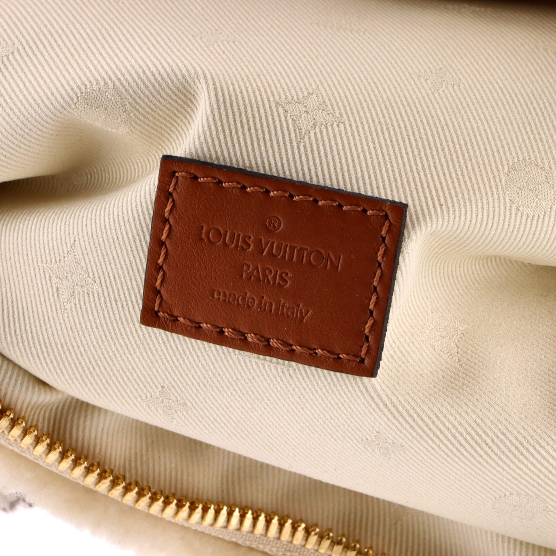 Louis Vuitton Bum Bag Size ONE SIZE - 8 Thumbnail