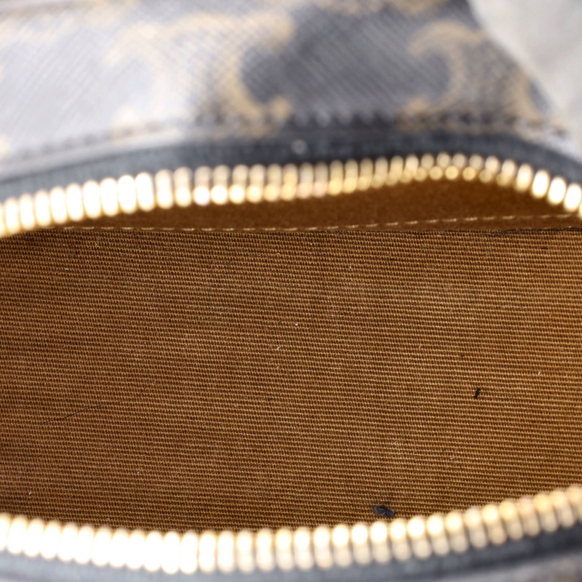 Celine Triomphe Oval Crossbody Bag Size ONE SIZE - 5 Thumbnail