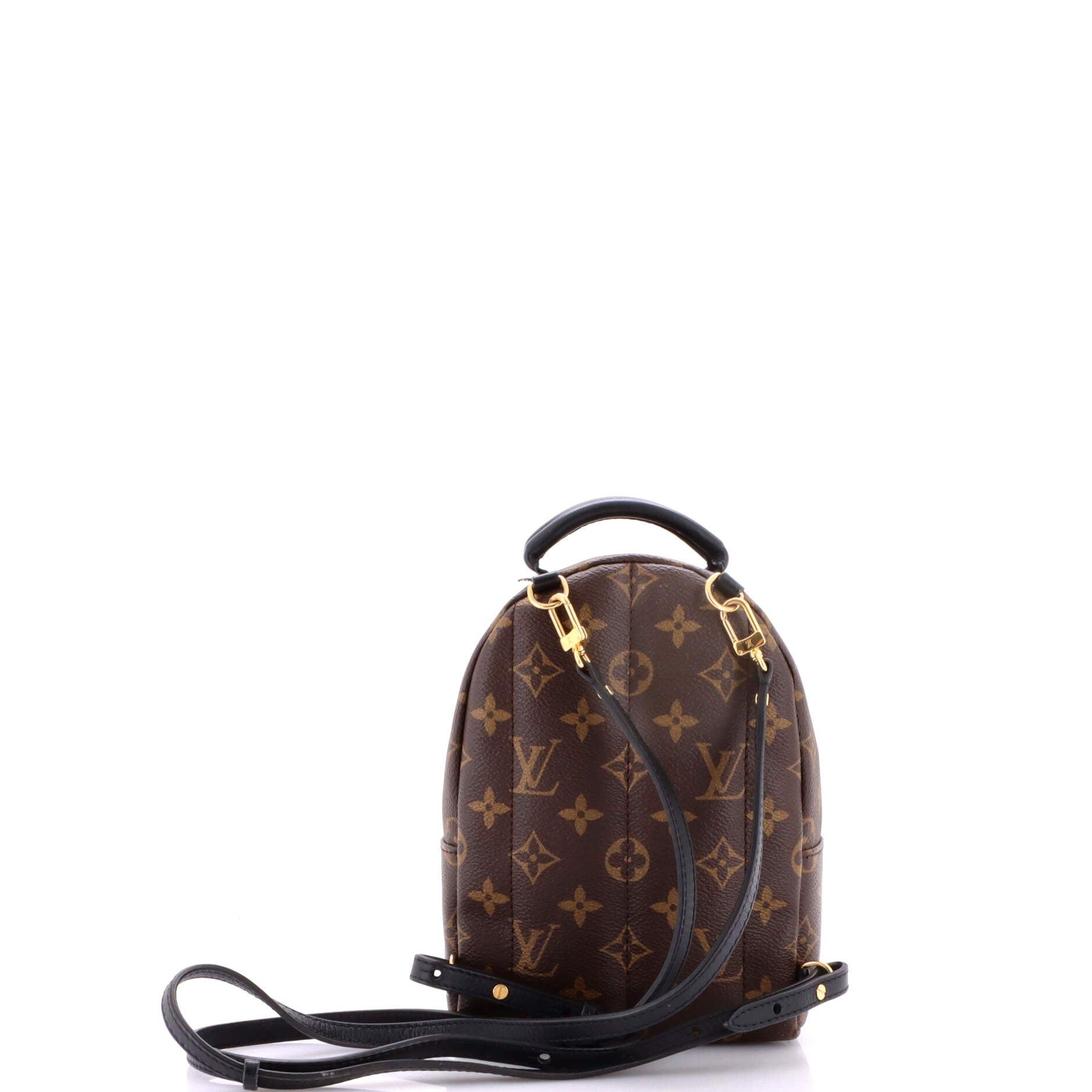 Louis Vuitton Palm Springs Backpack Size ONE SIZE - 3 Thumbnail