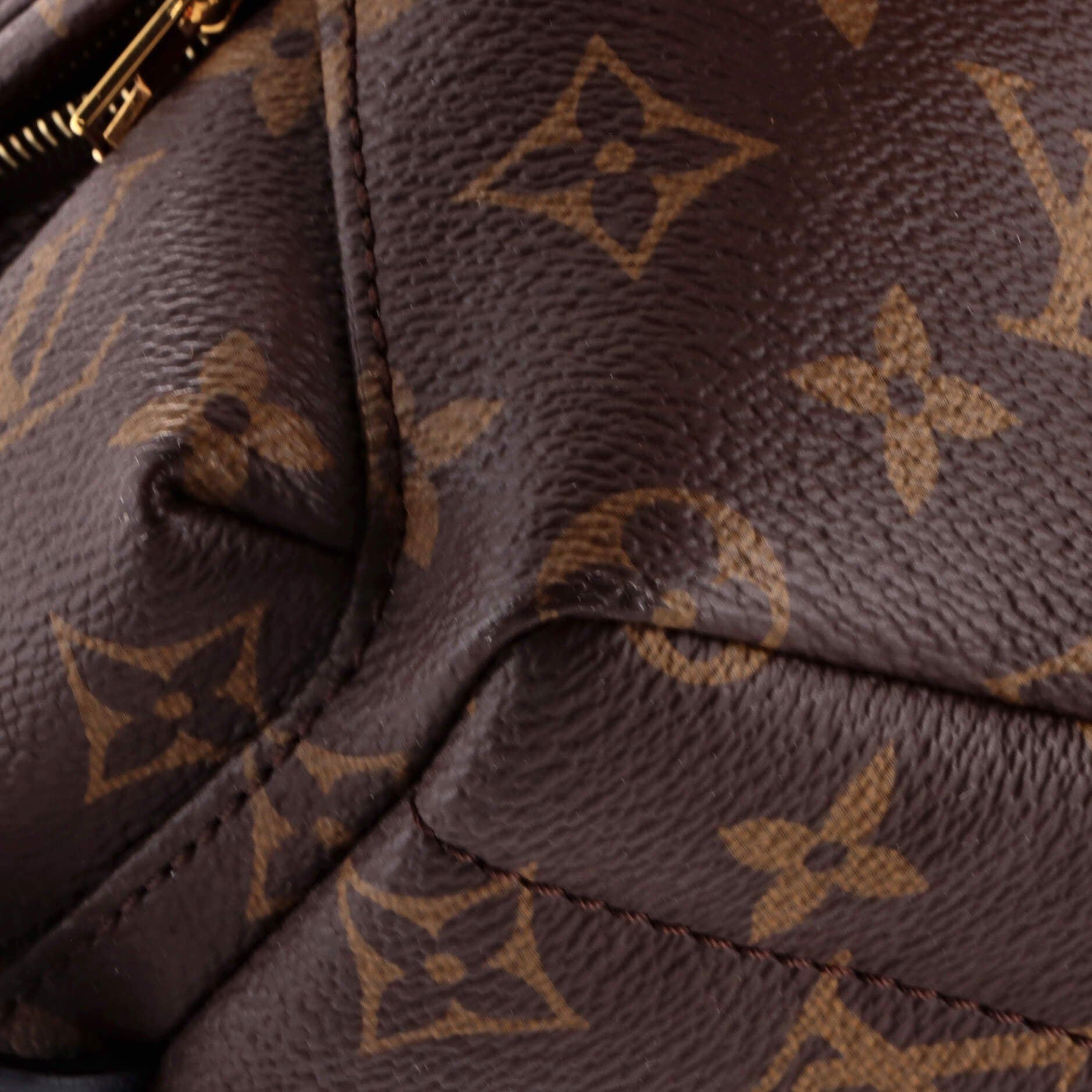 Louis Vuitton Palm Springs Backpack Size ONE SIZE - 7 Thumbnail