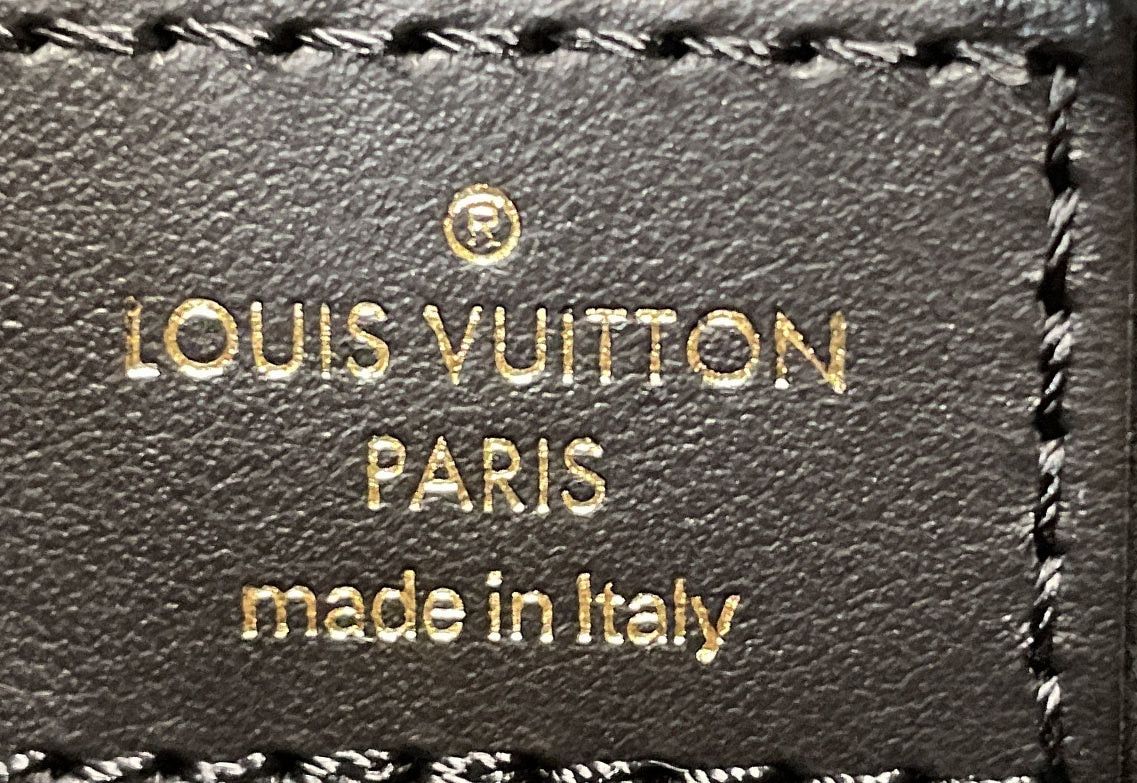Louis Vuitton Saint Jacques NM Handbag Size ONE SIZE - 8 Thumbnail