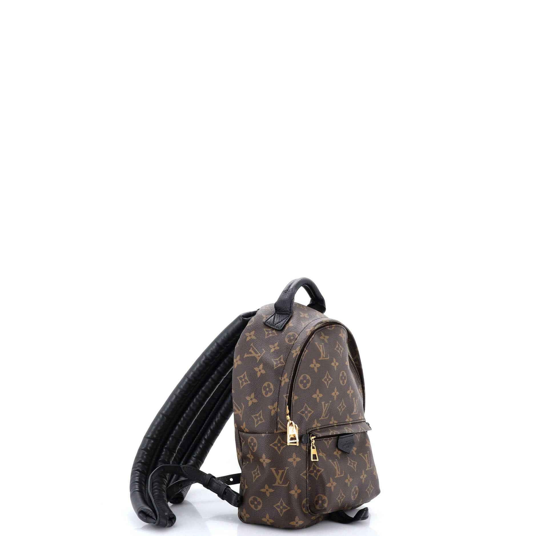 Louis Vuitton Palm Springs Backpack Size ONE SIZE - 2 Thumbnail