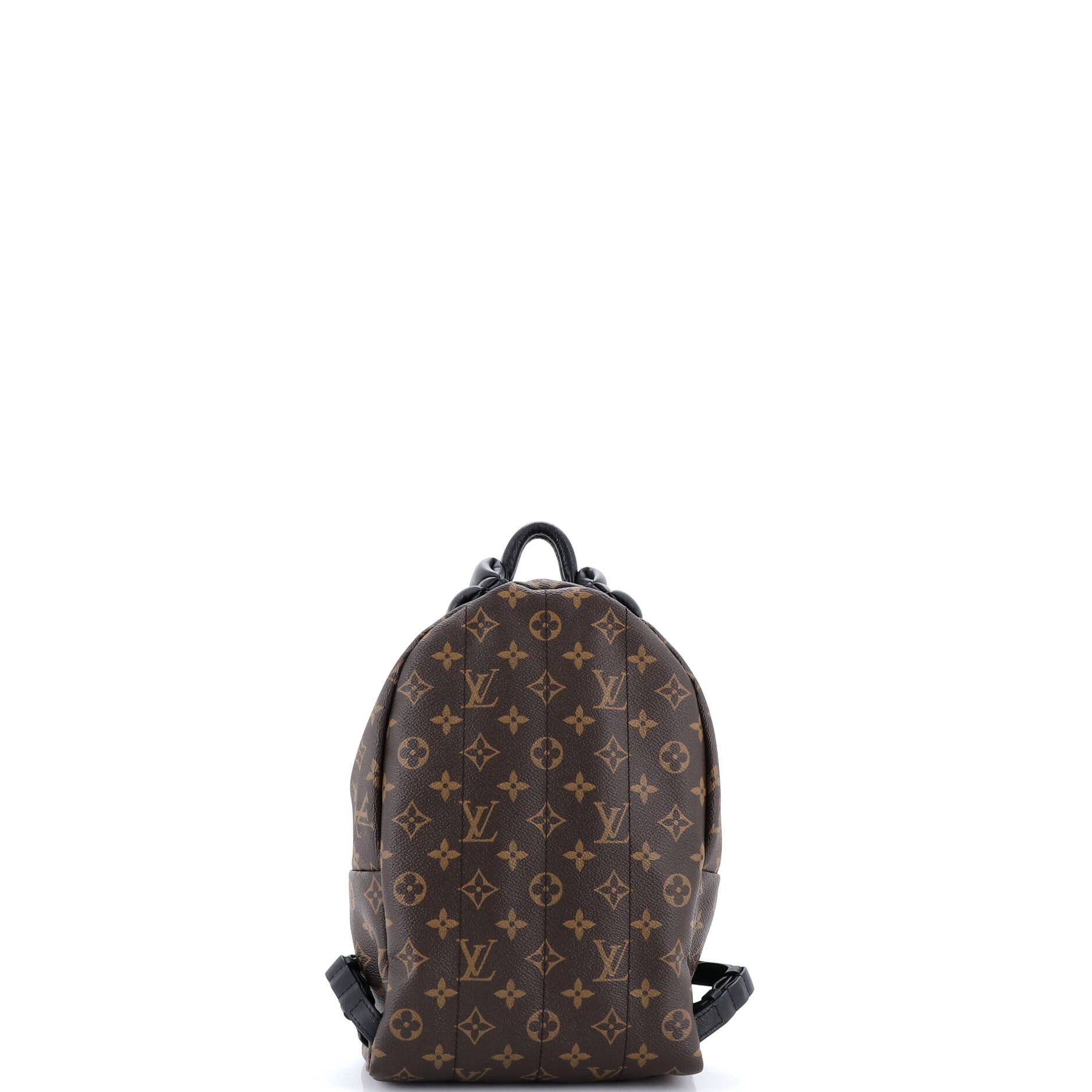 Louis Vuitton Palm Springs Backpack Size ONE SIZE - 3 Thumbnail