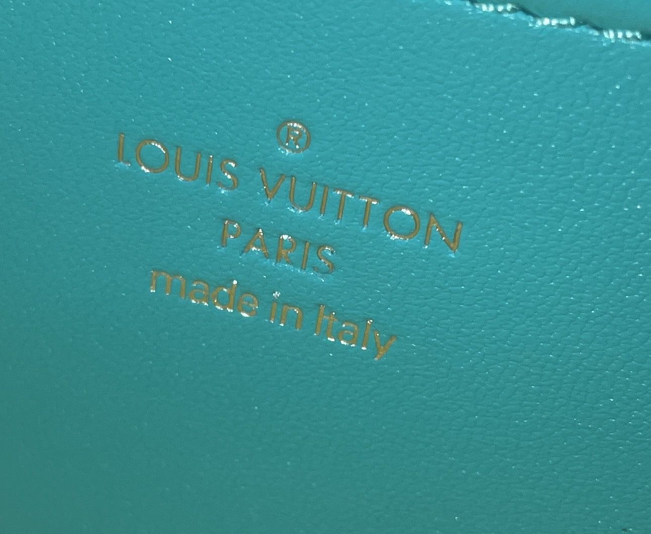 Louis Vuitton Coussin Pochette Size ONE SIZE - 7 Thumbnail