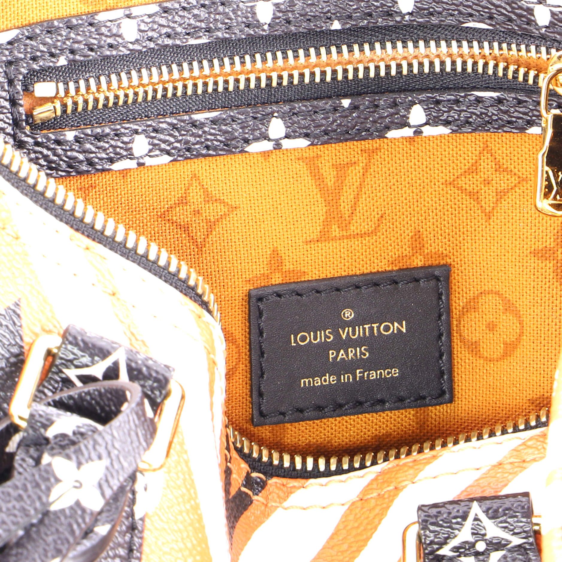 Louis Vuitton Speedy Bandouliere Bag Size ONE SIZE - 6 Thumbnail
