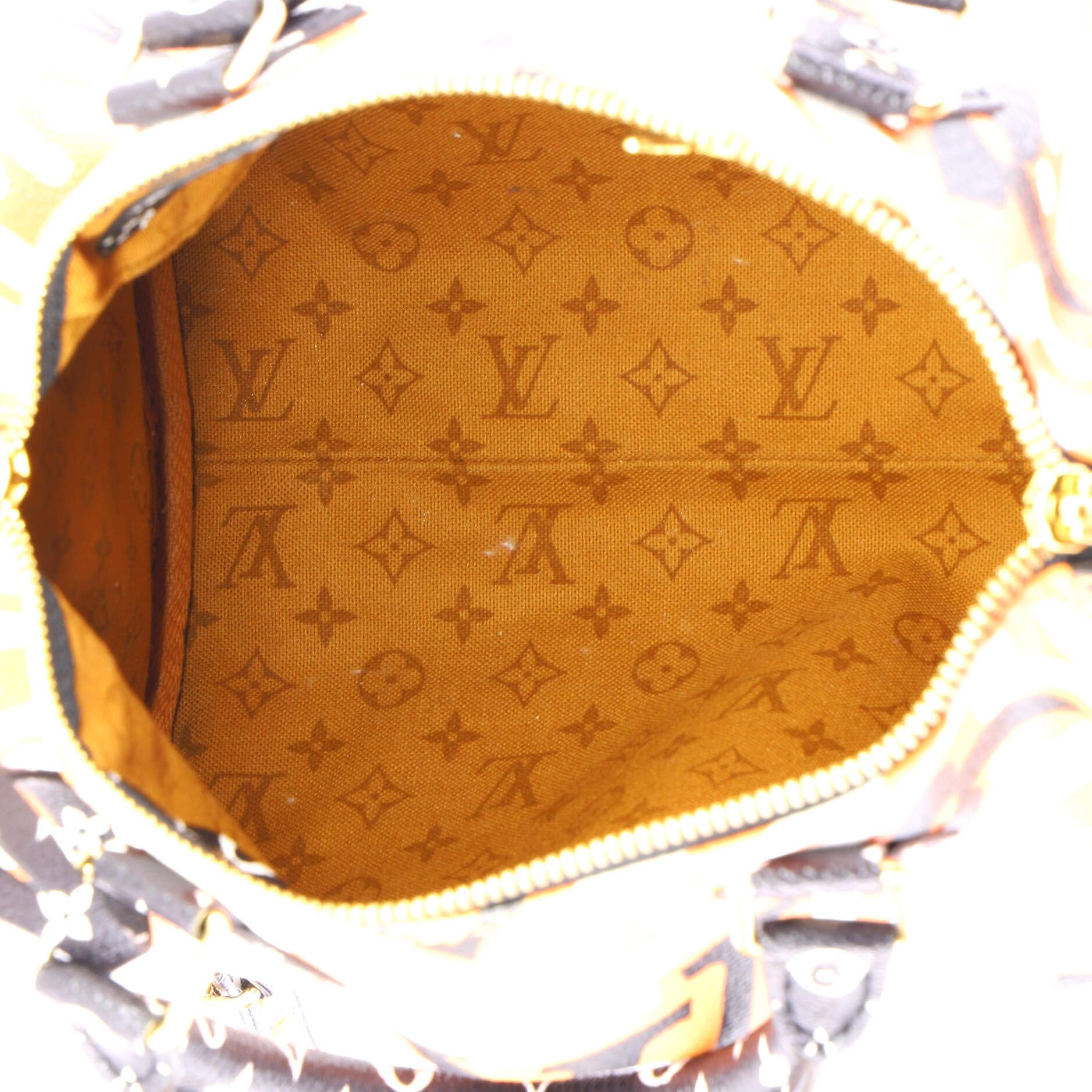 Louis Vuitton Speedy Bandouliere Bag Size ONE SIZE - 5 Thumbnail