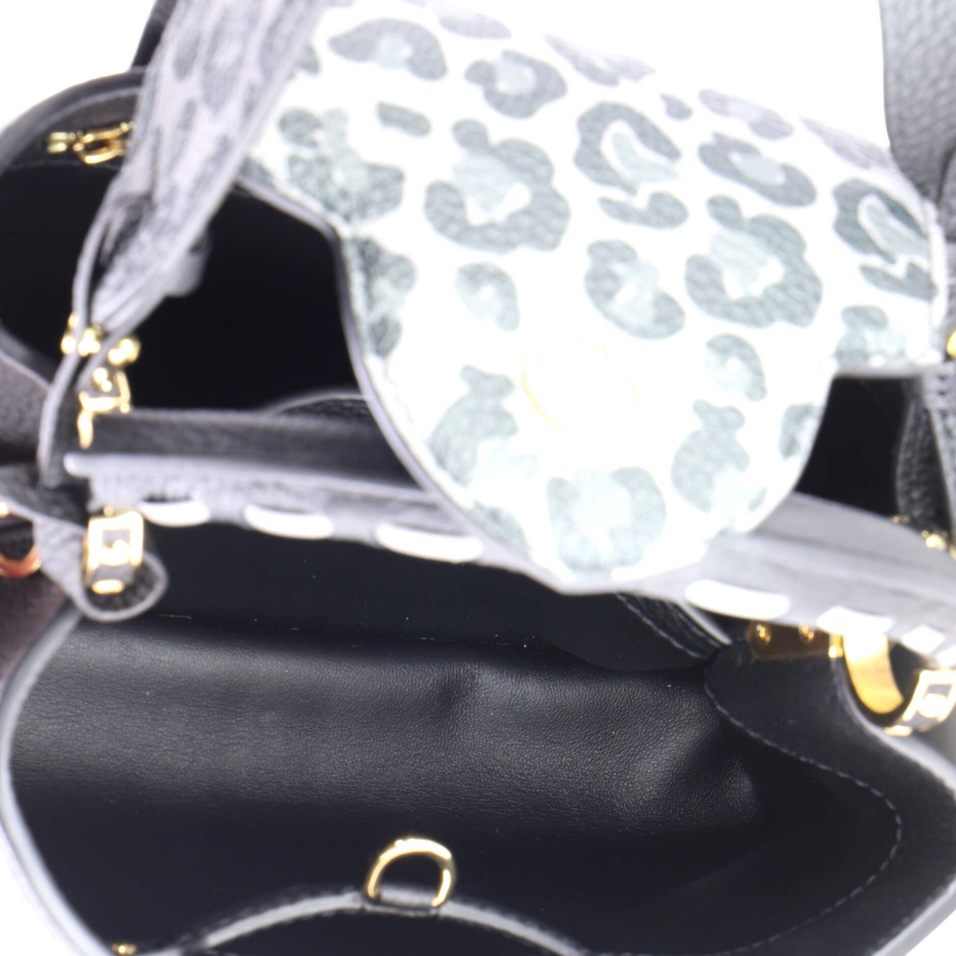 Louis Vuitton Capucines Bag Size ONE SIZE - 5 Thumbnail