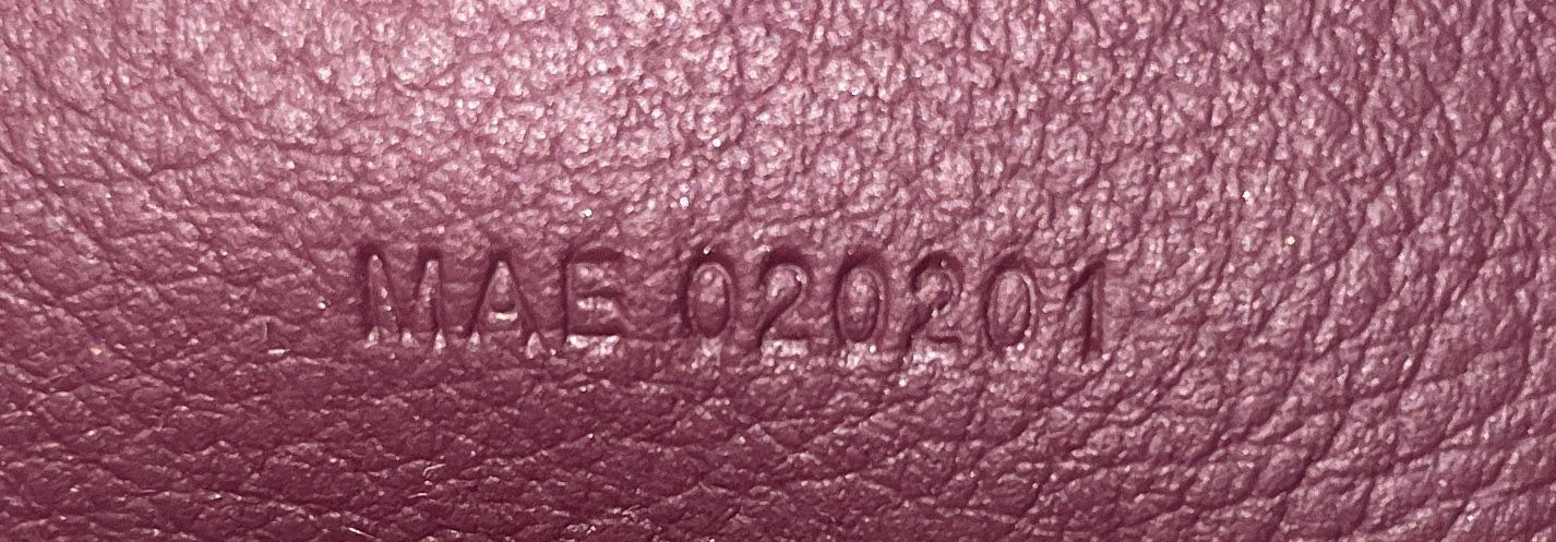 Goyard Alpin Backpack Size ONE SIZE - 8 Thumbnail