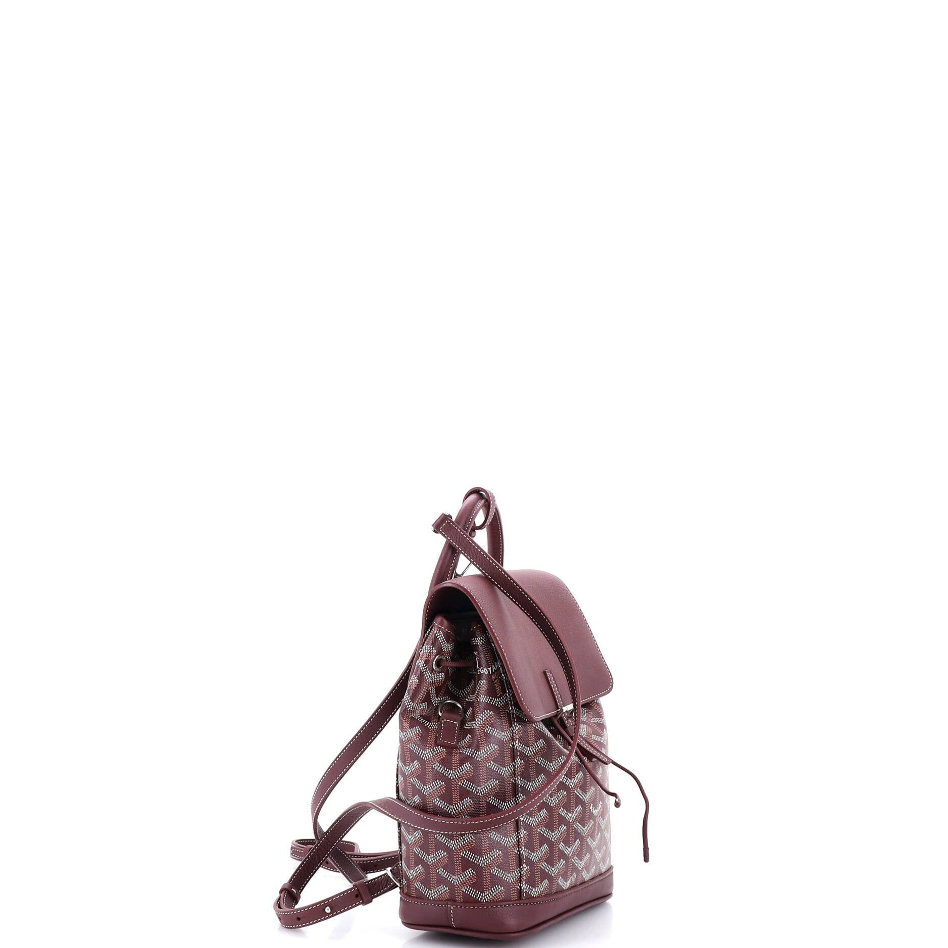 Goyard Alpin Backpack Size ONE SIZE - 2 Thumbnail