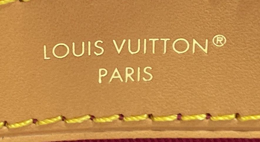 Louis Vuitton Diane NM Handbag Size ONE SIZE - 6 Thumbnail