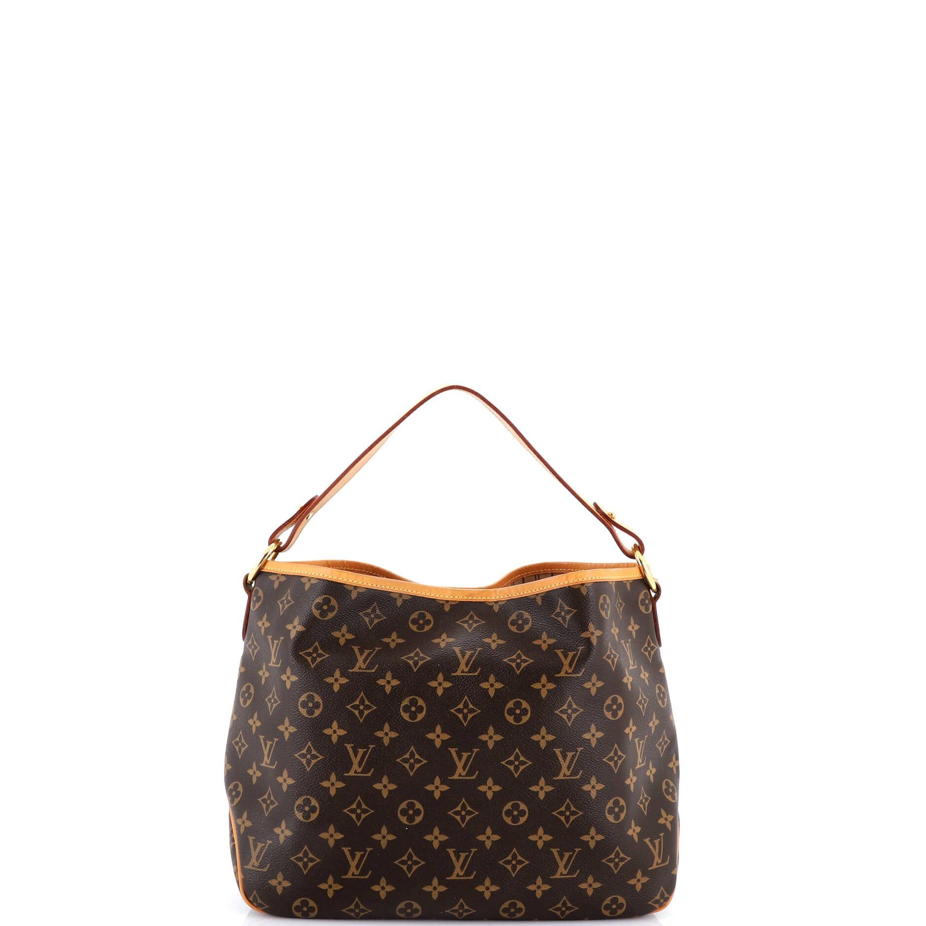 Louis Vuitton Delightful Handbag Size ONE SIZE - 3 Thumbnail