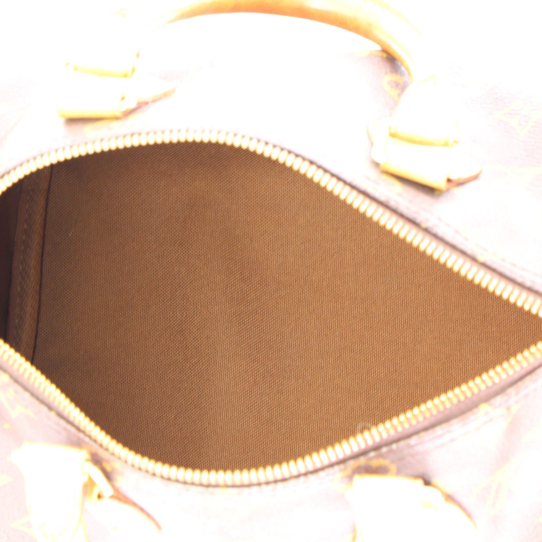 Louis Vuitton Speedy Handbag Size ONE SIZE - 5 Thumbnail