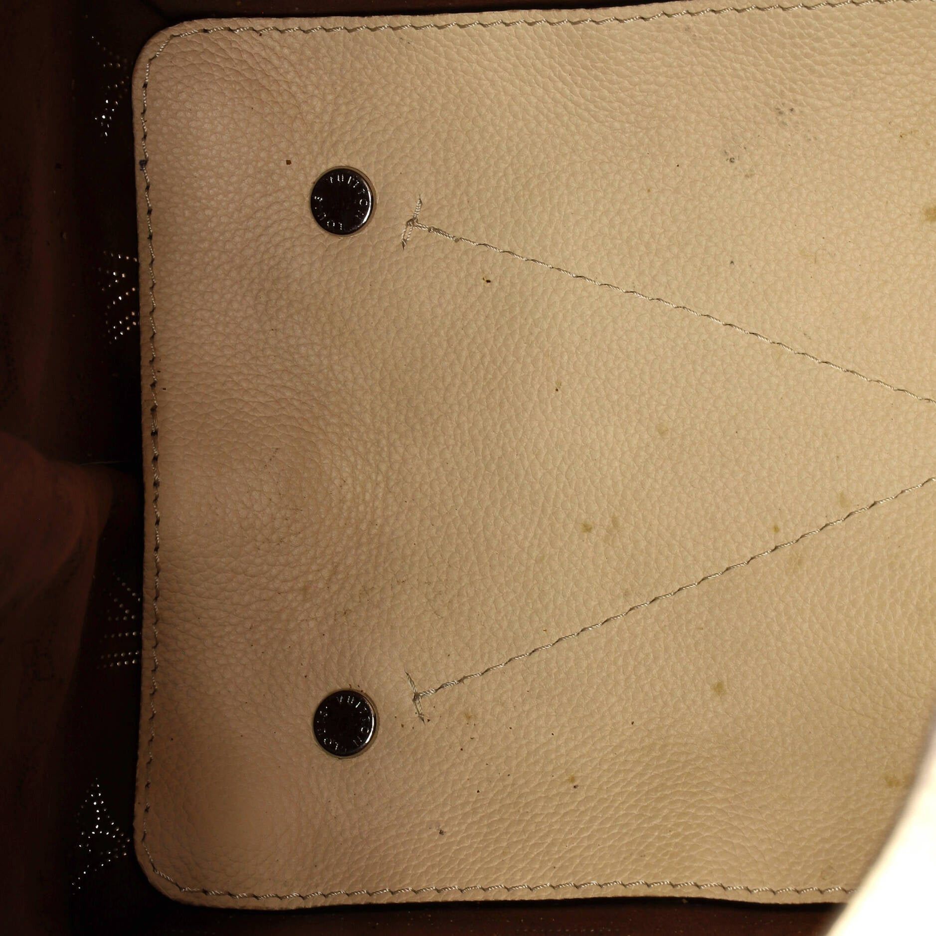 Louis Vuitton Carmel Hobo Size ONE SIZE - 5 Thumbnail