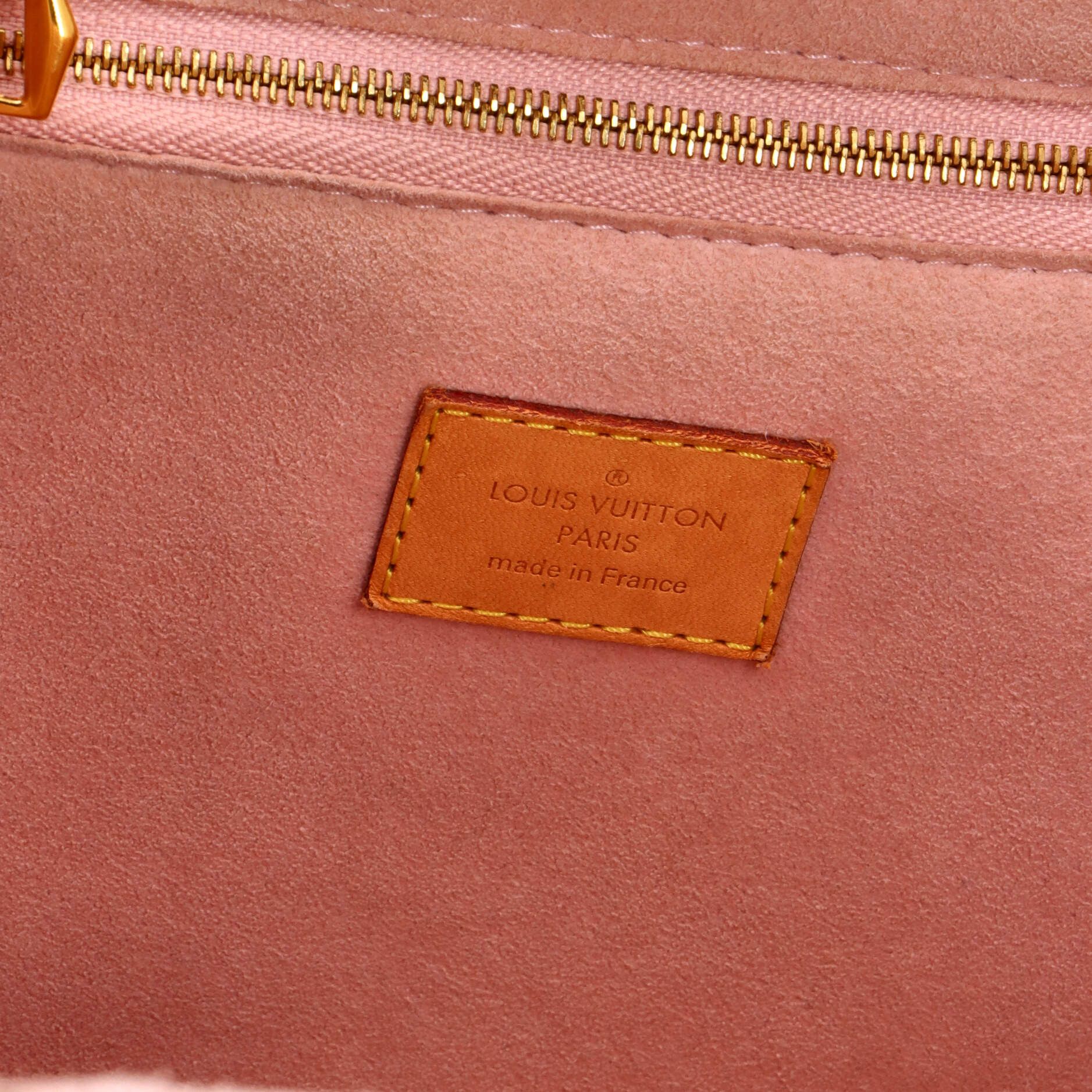 Louis Vuitton Propriano Handbag Size ONE SIZE - 8 Thumbnail