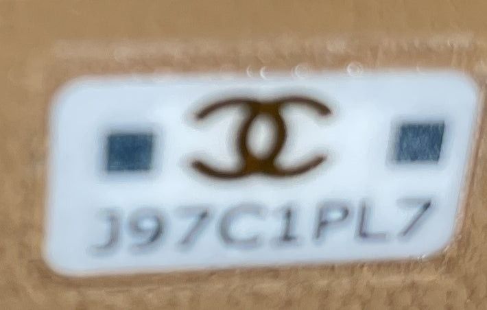 Chanel Classic Top Handle Vanity Case with Chain Size ONE SIZE - 8 Thumbnail