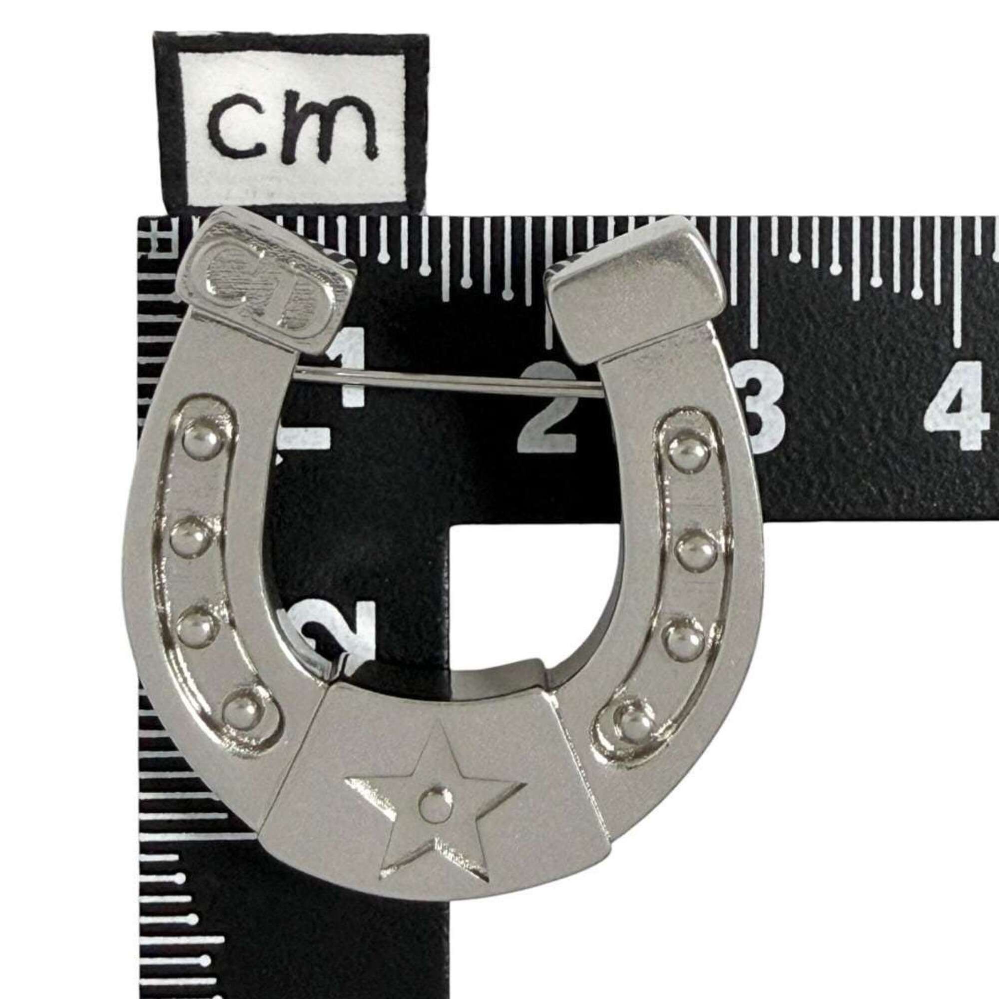 Dior Christian Dior Dior Men's Horseshoe Pin Brooch, Silver Color Size ONE SIZE - 8 Thumbnail