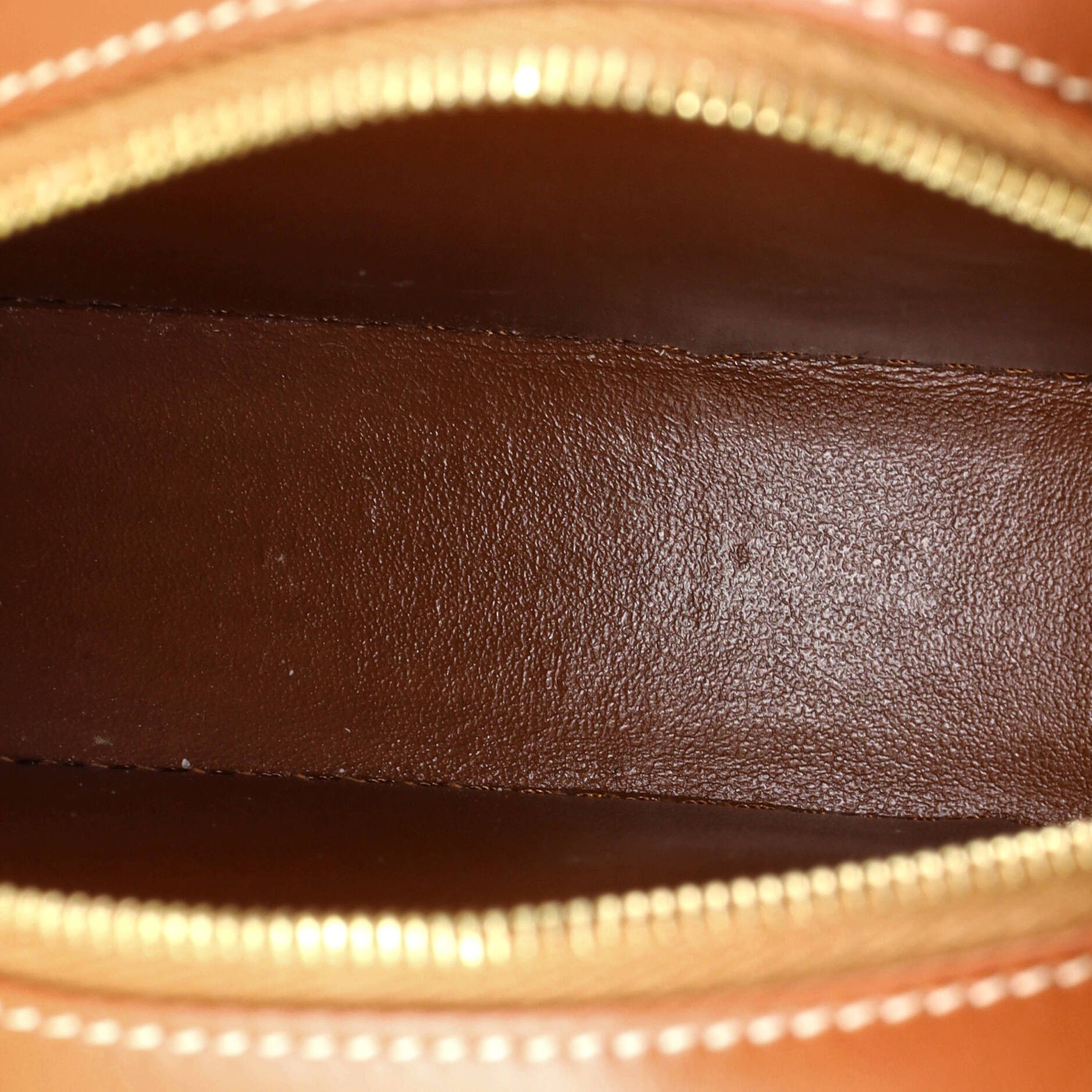 Celine Triomphe Oval Crossbody Bag Size ONE SIZE - 5 Thumbnail