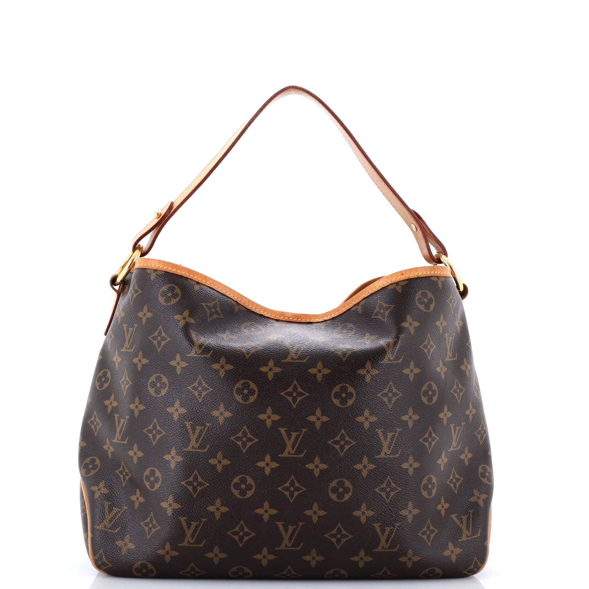 Louis Vuitton Delightful Handbag Size ONE SIZE - 3 Thumbnail